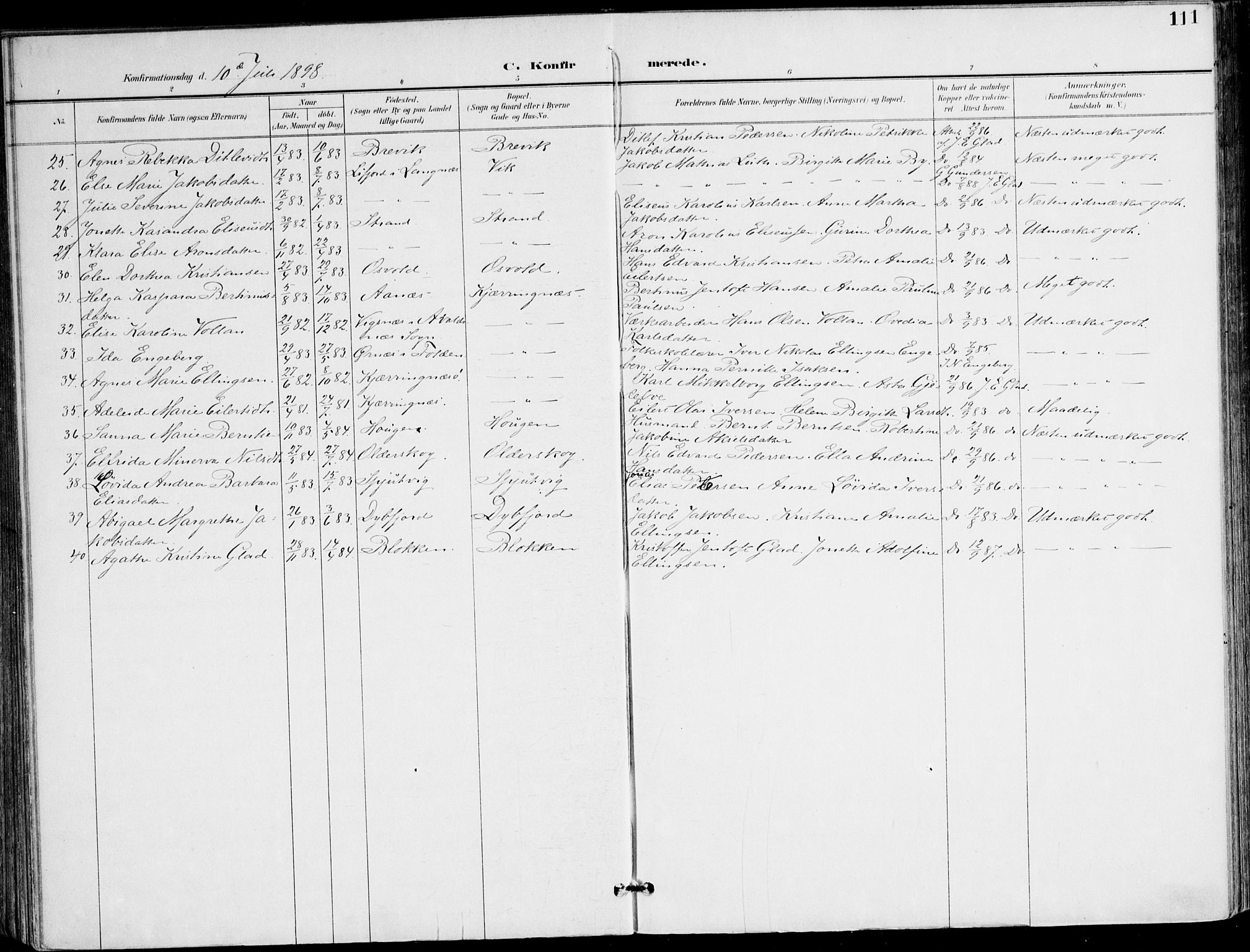 Ministerialprotokoller, klokkerbøker og fødselsregistre - Nordland, AV/SAT-A-1459/895/L1372: Ministerialbok nr. 895A07, 1894-1914, s. 111