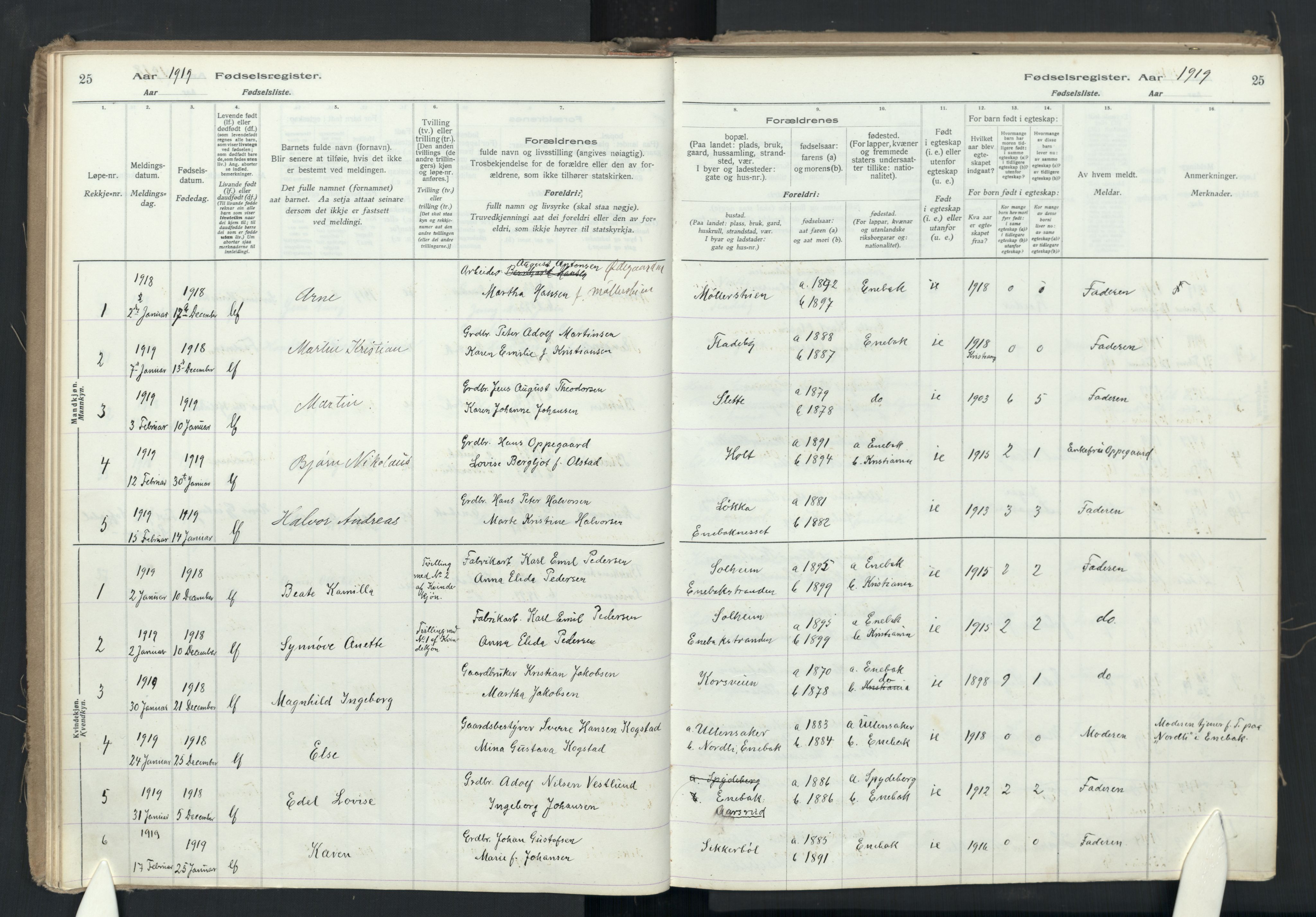 Enebakk prestekontor Kirkebøker, AV/SAO-A-10171c/J/Ja/L0001: Fødselsregister nr. I 1, 1916-1948, s. 25