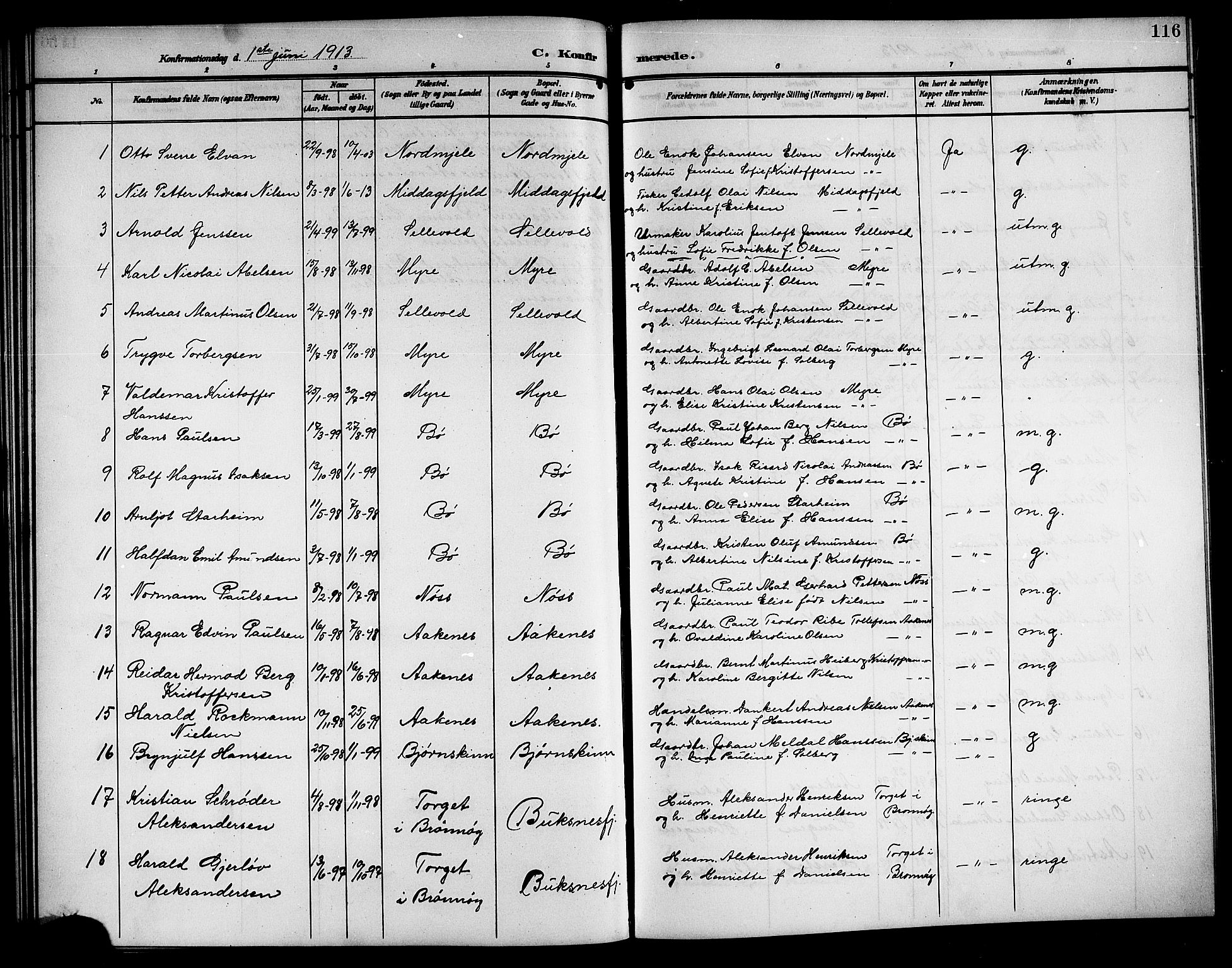 Ministerialprotokoller, klokkerbøker og fødselsregistre - Nordland, AV/SAT-A-1459/897/L1414: Klokkerbok nr. 897C04, 1904-1915, s. 116