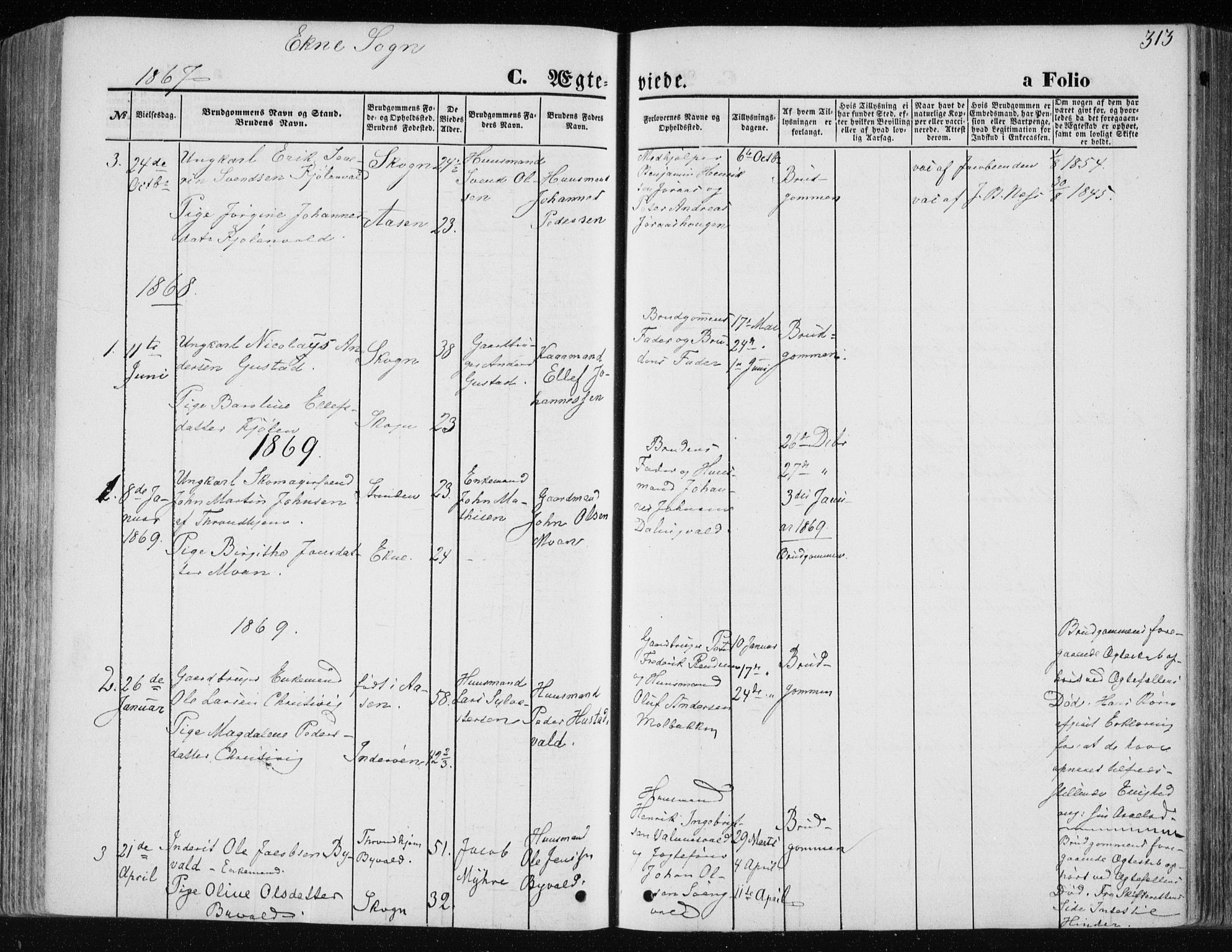 Ministerialprotokoller, klokkerbøker og fødselsregistre - Nord-Trøndelag, AV/SAT-A-1458/717/L0158: Ministerialbok nr. 717A08 /2, 1863-1877, s. 313