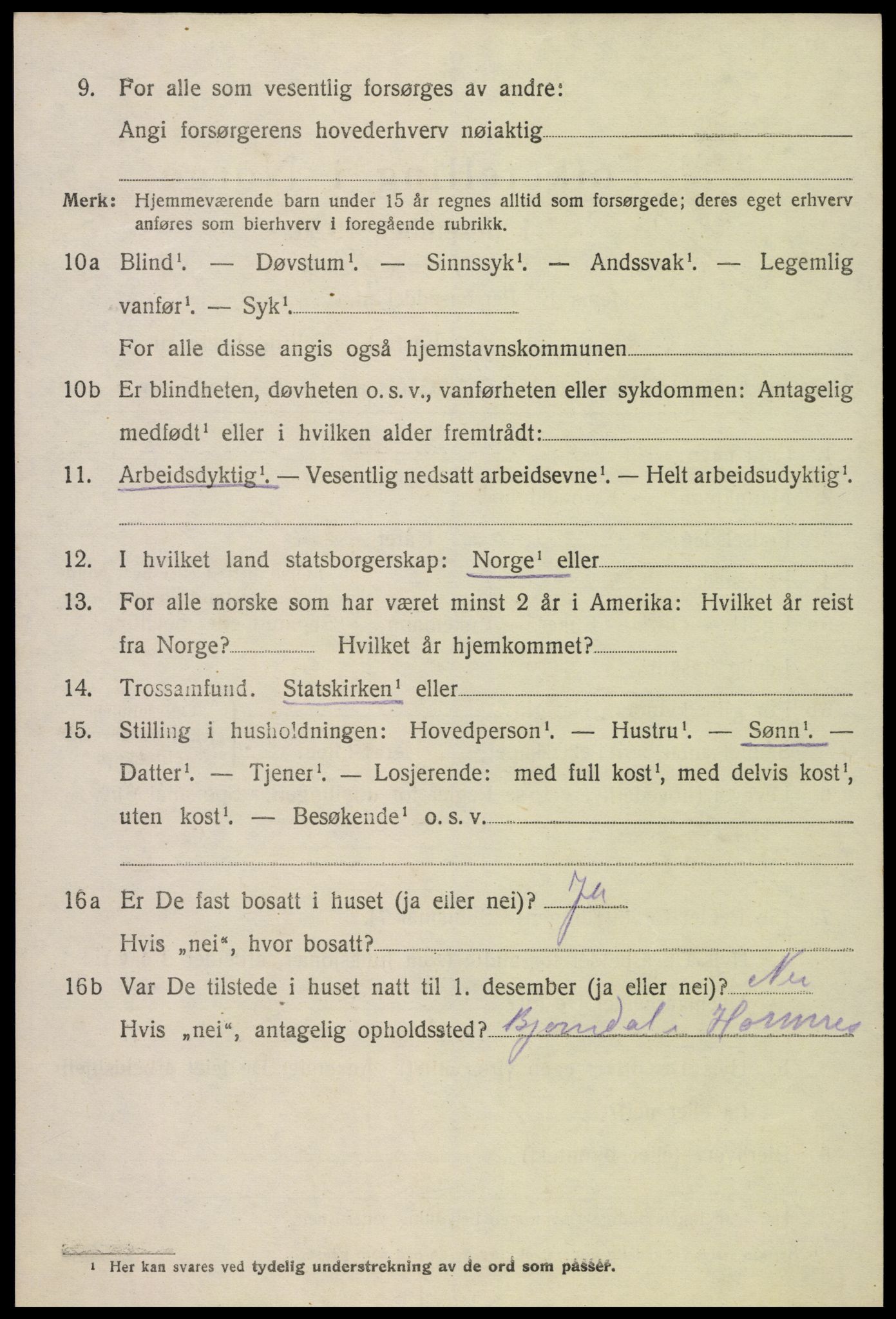 SAK, Folketelling 1920 for 0936 Hornnes herred, 1920, s. 934