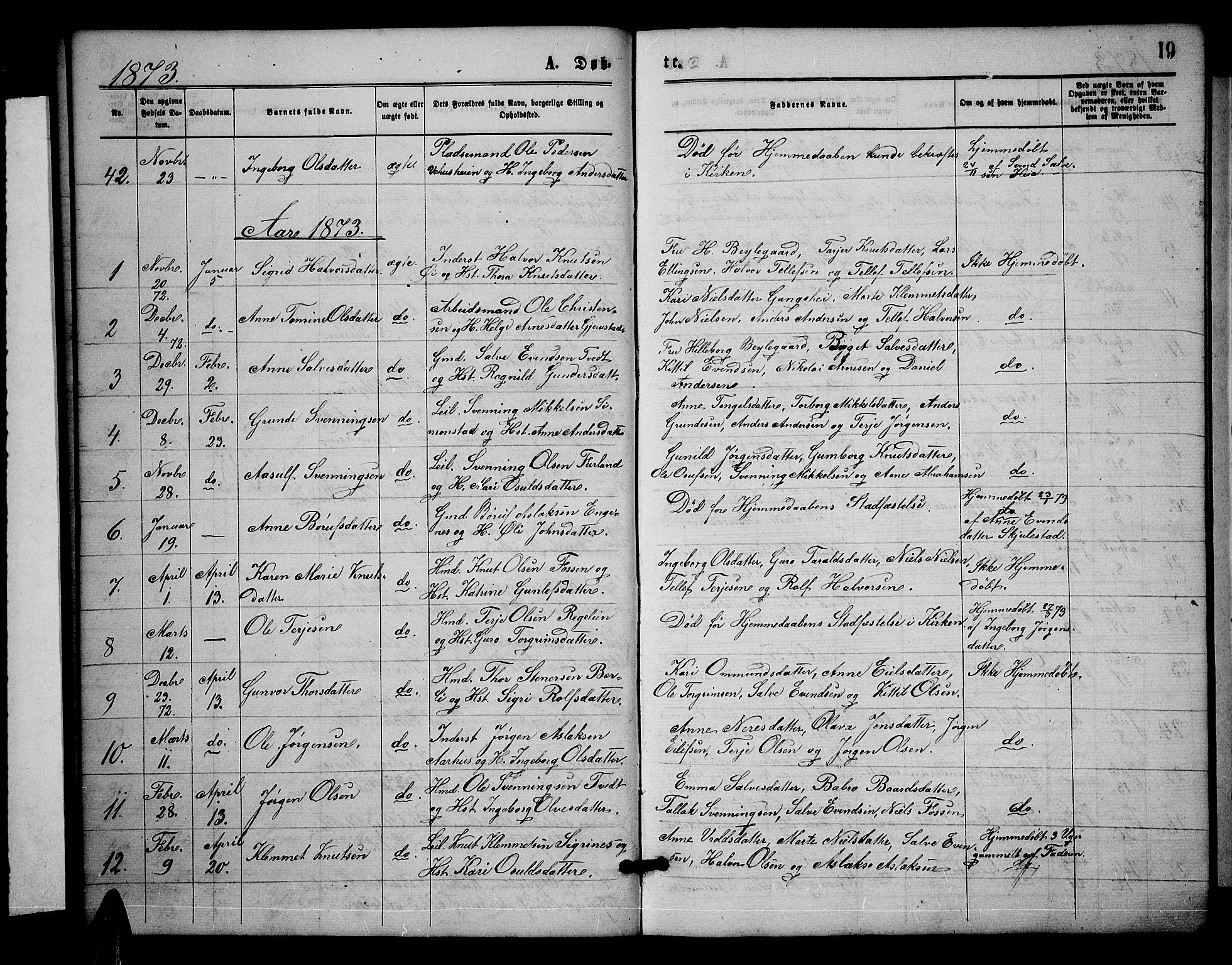 Åmli sokneprestkontor, AV/SAK-1111-0050/F/Fb/Fbc/L0003: Klokkerbok nr. B 3, 1868-1888, s. 19