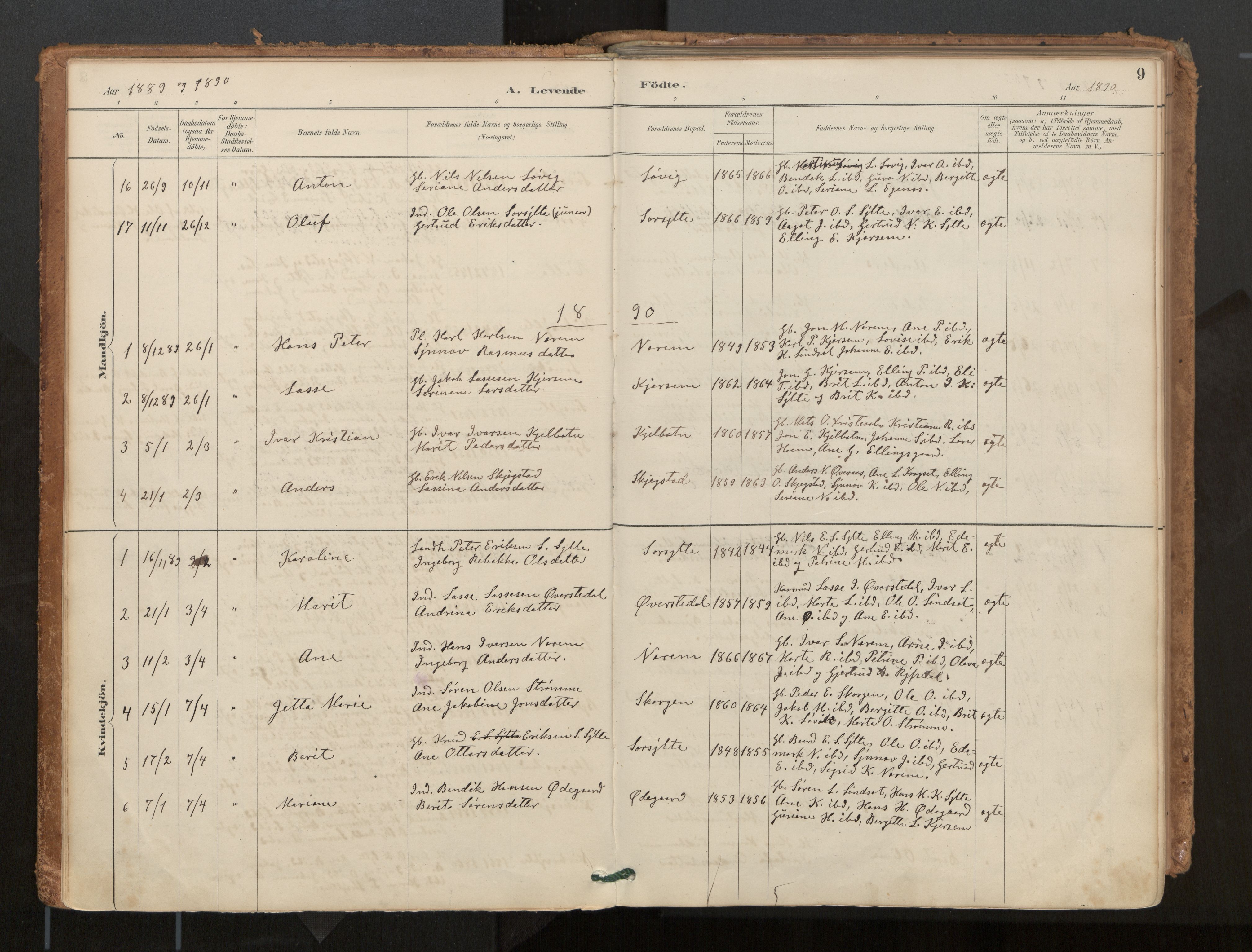 Ministerialprotokoller, klokkerbøker og fødselsregistre - Møre og Romsdal, AV/SAT-A-1454/541/L0545a: Ministerialbok nr. 541A03, 1887-1912, s. 9