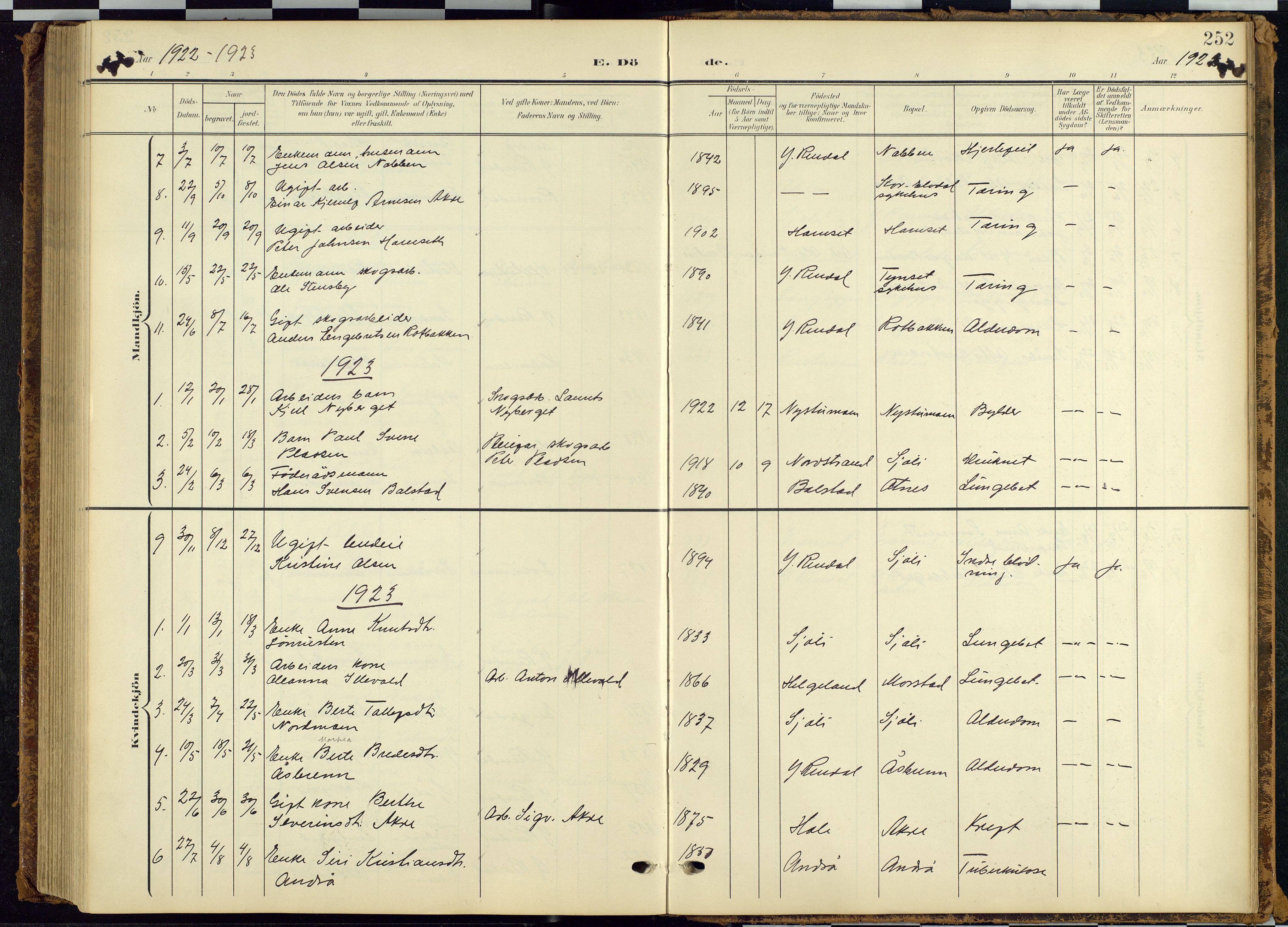 Rendalen prestekontor, AV/SAH-PREST-054/H/Ha/Hab/L0010: Klokkerbok nr. 10, 1903-1940, s. 252
