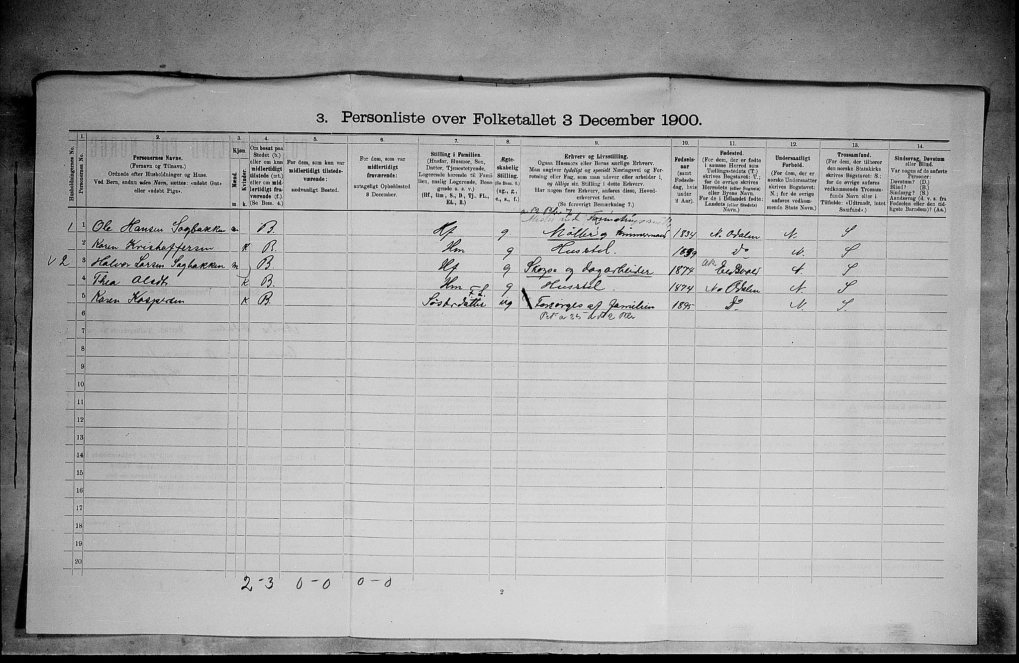 SAH, Folketelling 1900 for 0418 Nord-Odal herred, 1900, s. 339