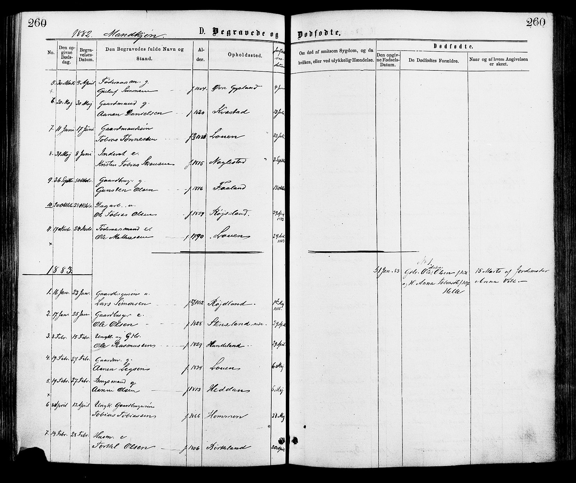 Hægebostad sokneprestkontor, SAK/1111-0024/F/Fa/Faa/L0005: Ministerialbok nr. A 5, 1864-1886, s. 260