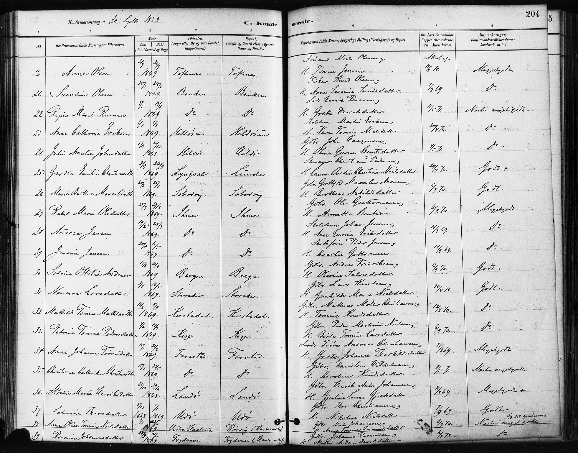 Mandal sokneprestkontor, AV/SAK-1111-0030/F/Fa/Faa/L0016: Ministerialbok nr. A 16, 1880-1890, s. 204