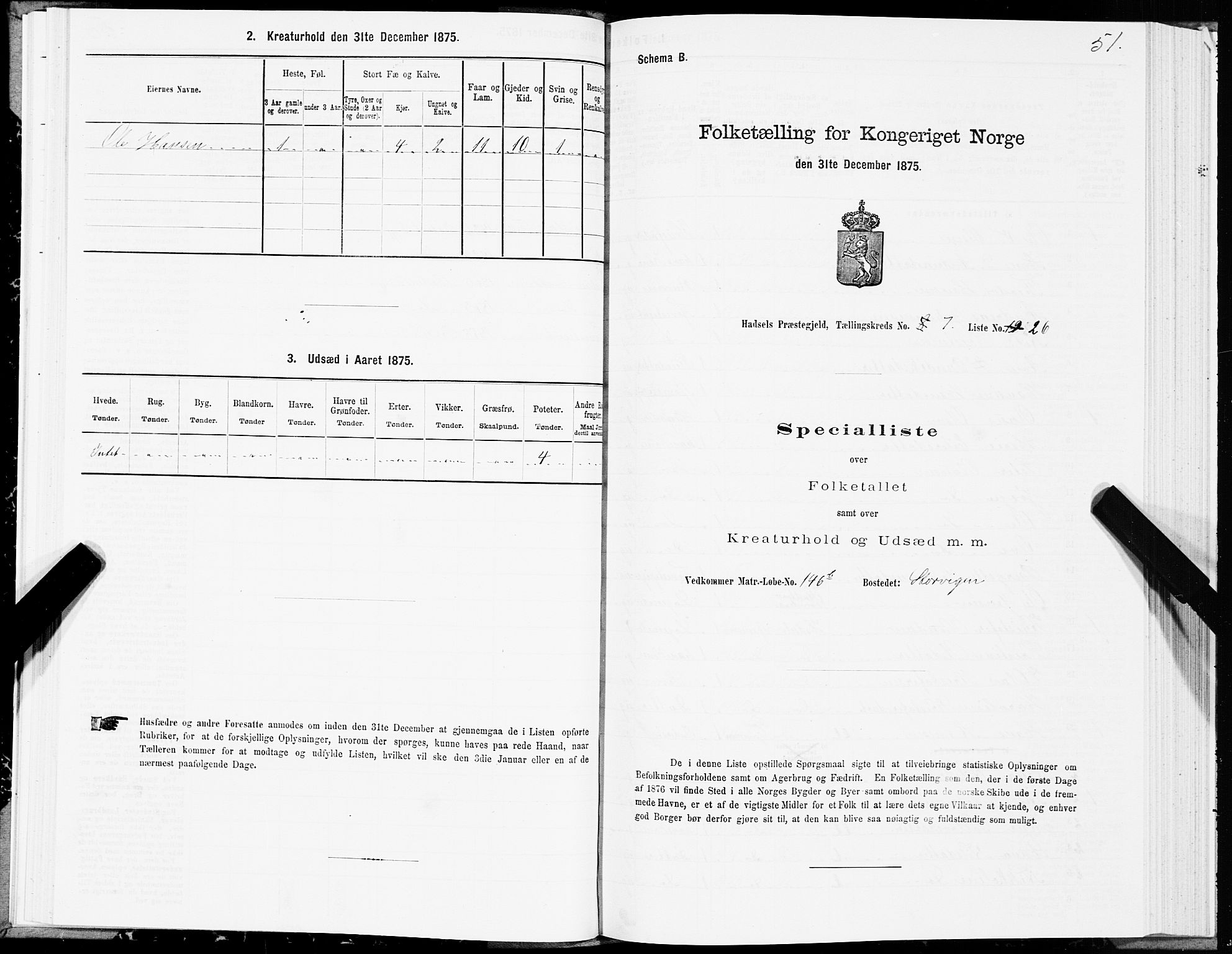 SAT, Folketelling 1875 for 1866P Hadsel prestegjeld, 1875, s. 4051