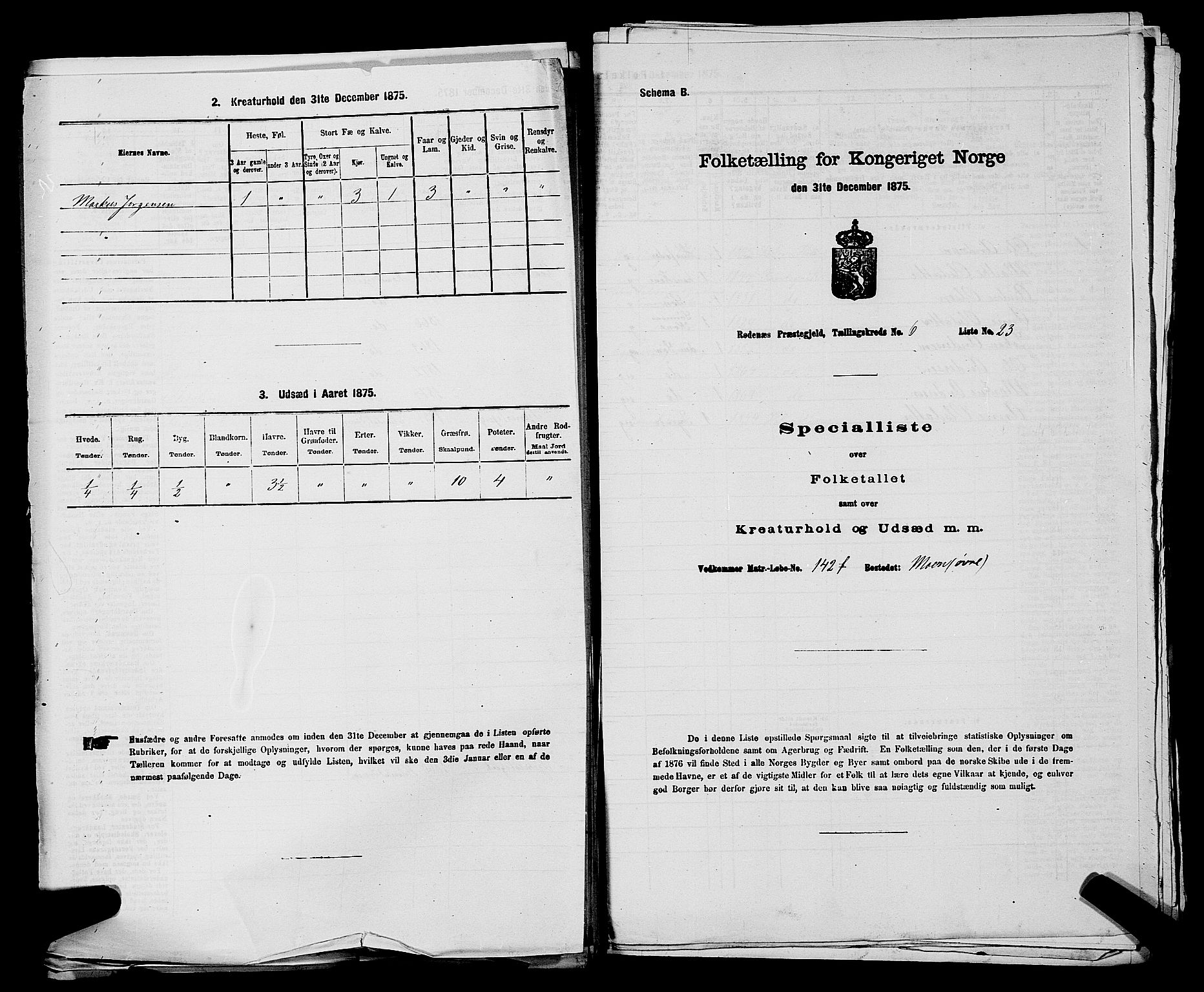 RA, Folketelling 1875 for 0120P Rødenes prestegjeld, 1875, s. 828