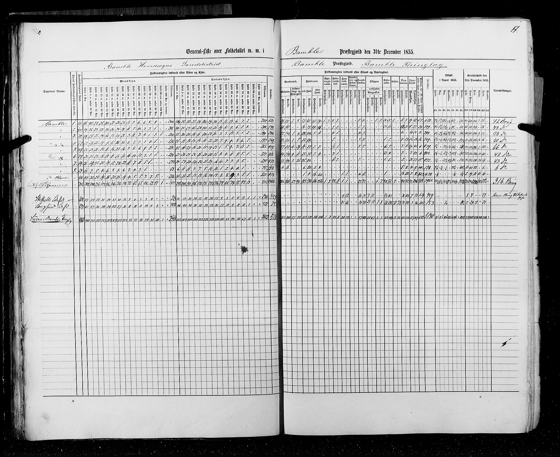 RA, Folketellingen 1855, bind 3: Bratsberg amt, Nedenes amt og Lister og Mandal amt, 1855, s. 17