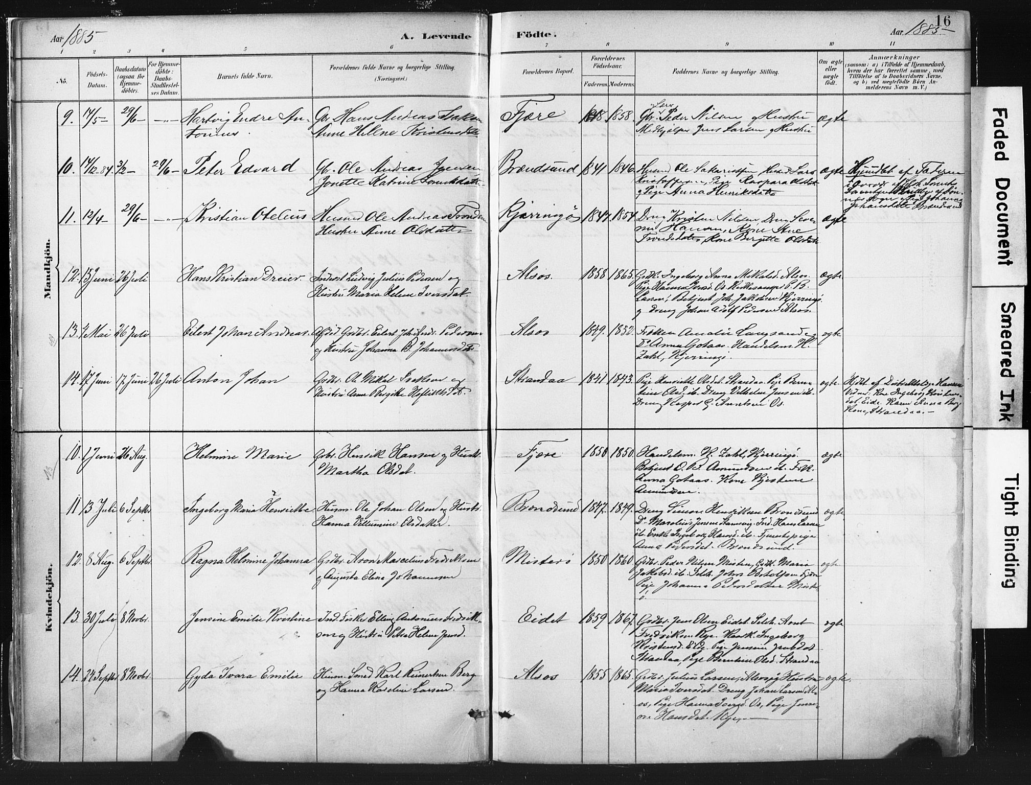 Ministerialprotokoller, klokkerbøker og fødselsregistre - Nordland, AV/SAT-A-1459/803/L0071: Ministerialbok nr. 803A01, 1881-1897, s. 16