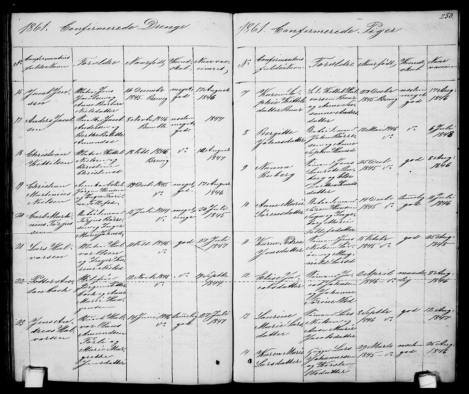 Brevik kirkebøker, AV/SAKO-A-255/G/Ga/L0002: Klokkerbok nr. 2, 1846-1865, s. 253