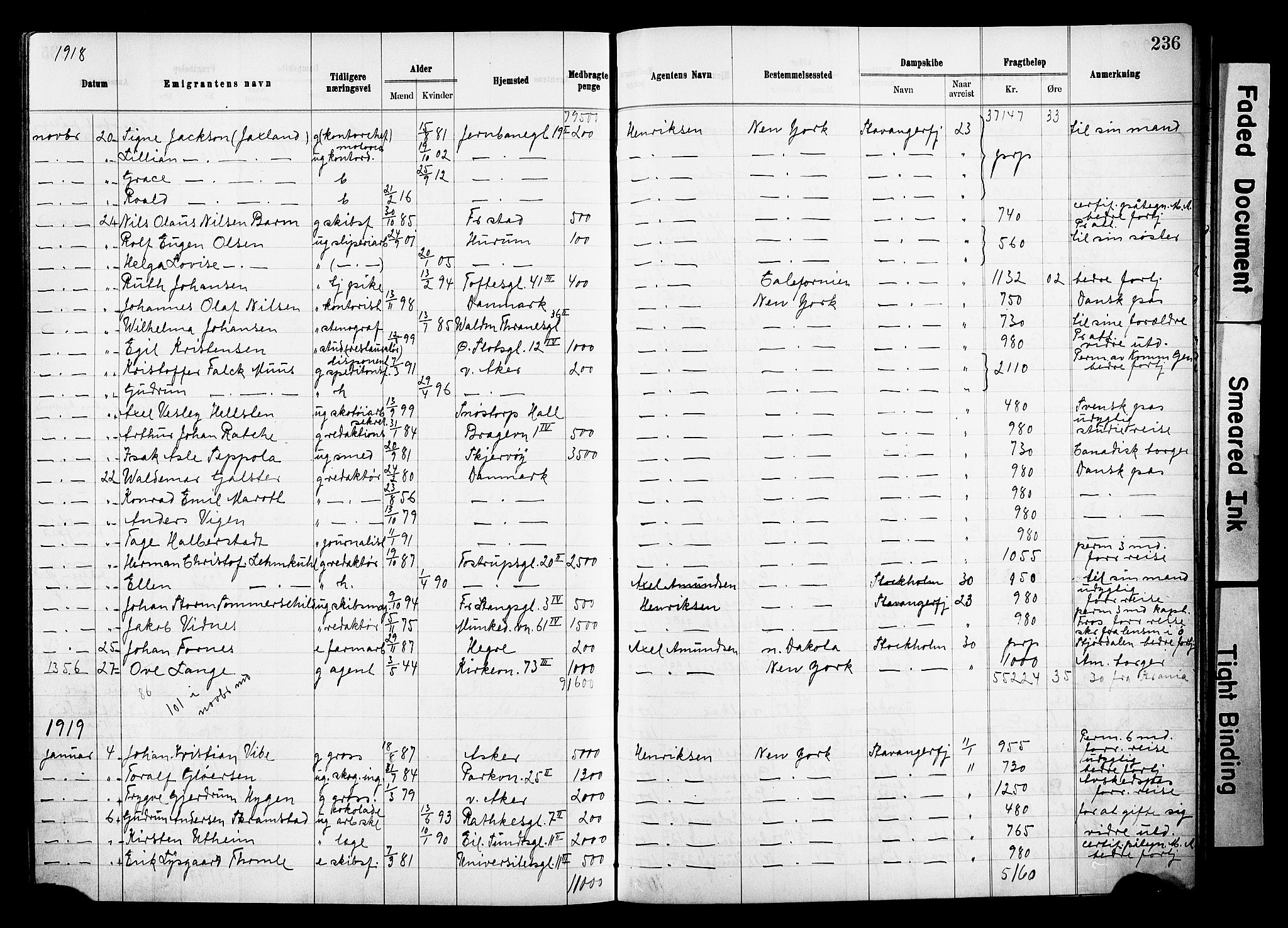 Oslo politidistrikt, AV/SAO-A-10085/E/Ee/Eef/L0031: Emigrantprotokoll, 1913-1919, s. 236