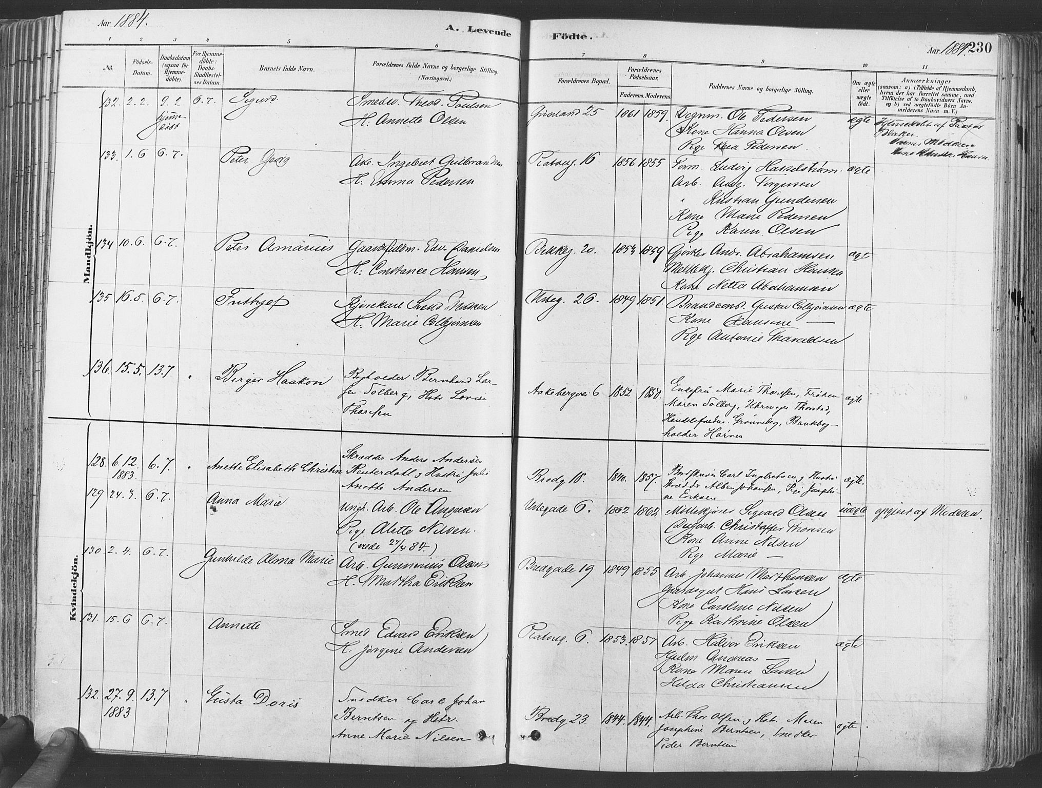 Grønland prestekontor Kirkebøker, SAO/A-10848/F/Fa/L0007: Ministerialbok nr. 7, 1878-1888, s. 230