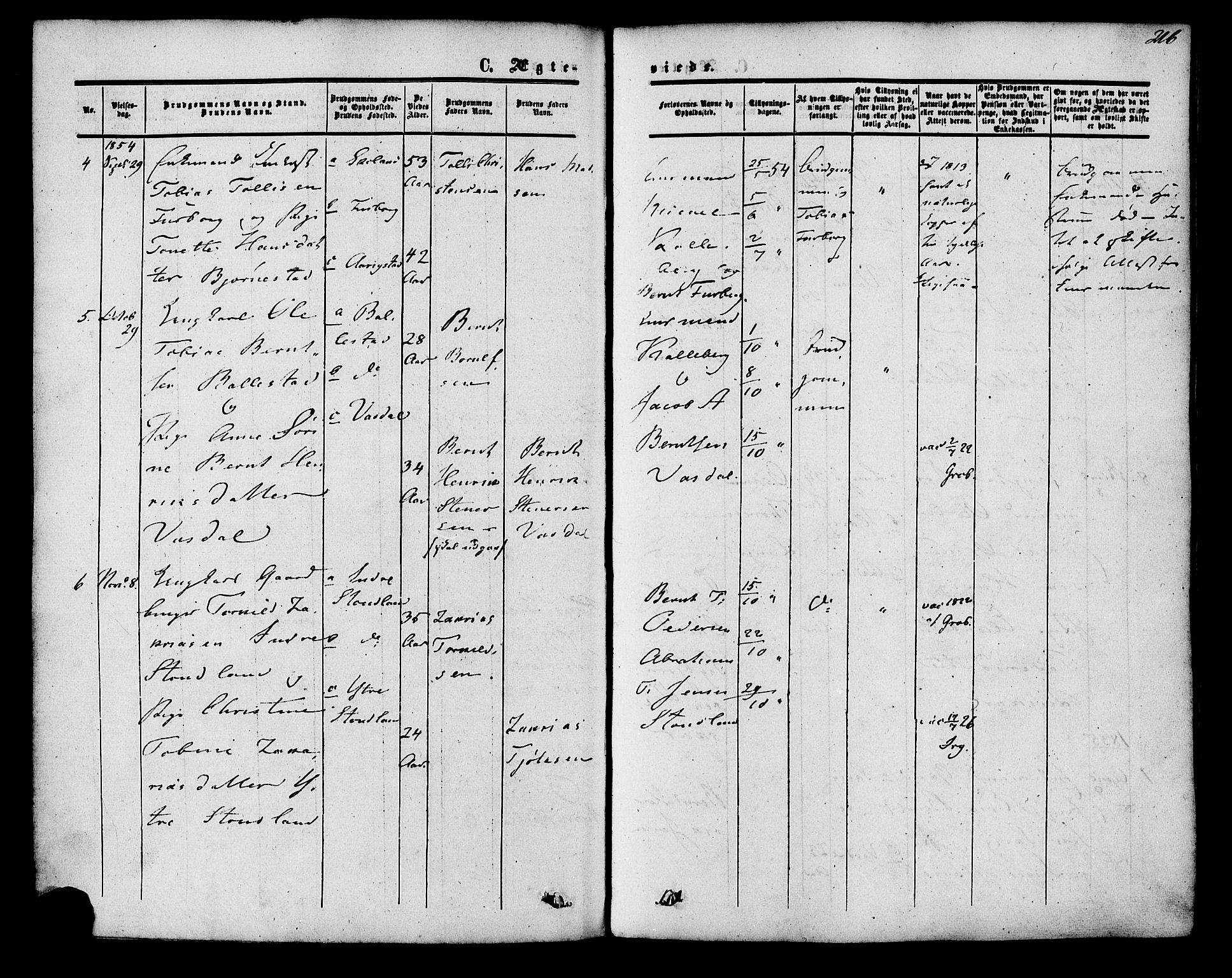 Herad sokneprestkontor, AV/SAK-1111-0018/F/Fa/Fab/L0004: Ministerialbok nr. A 4, 1853-1885, s. 216