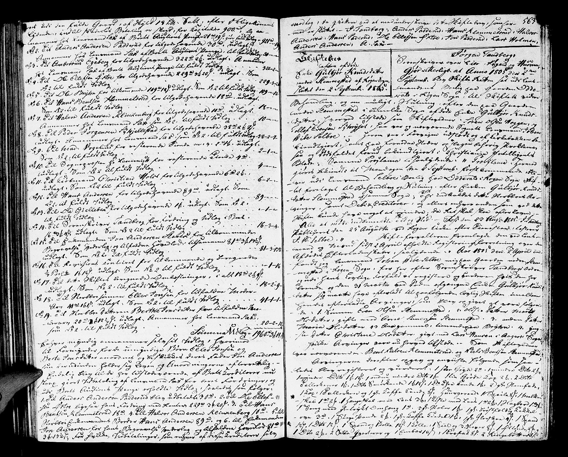 Lier, Røyken og Hurum sorenskriveri, AV/SAKO-A-89/H/Hc/L0008: Skifteprotokoll, 1799-1805, s. 562b-563a