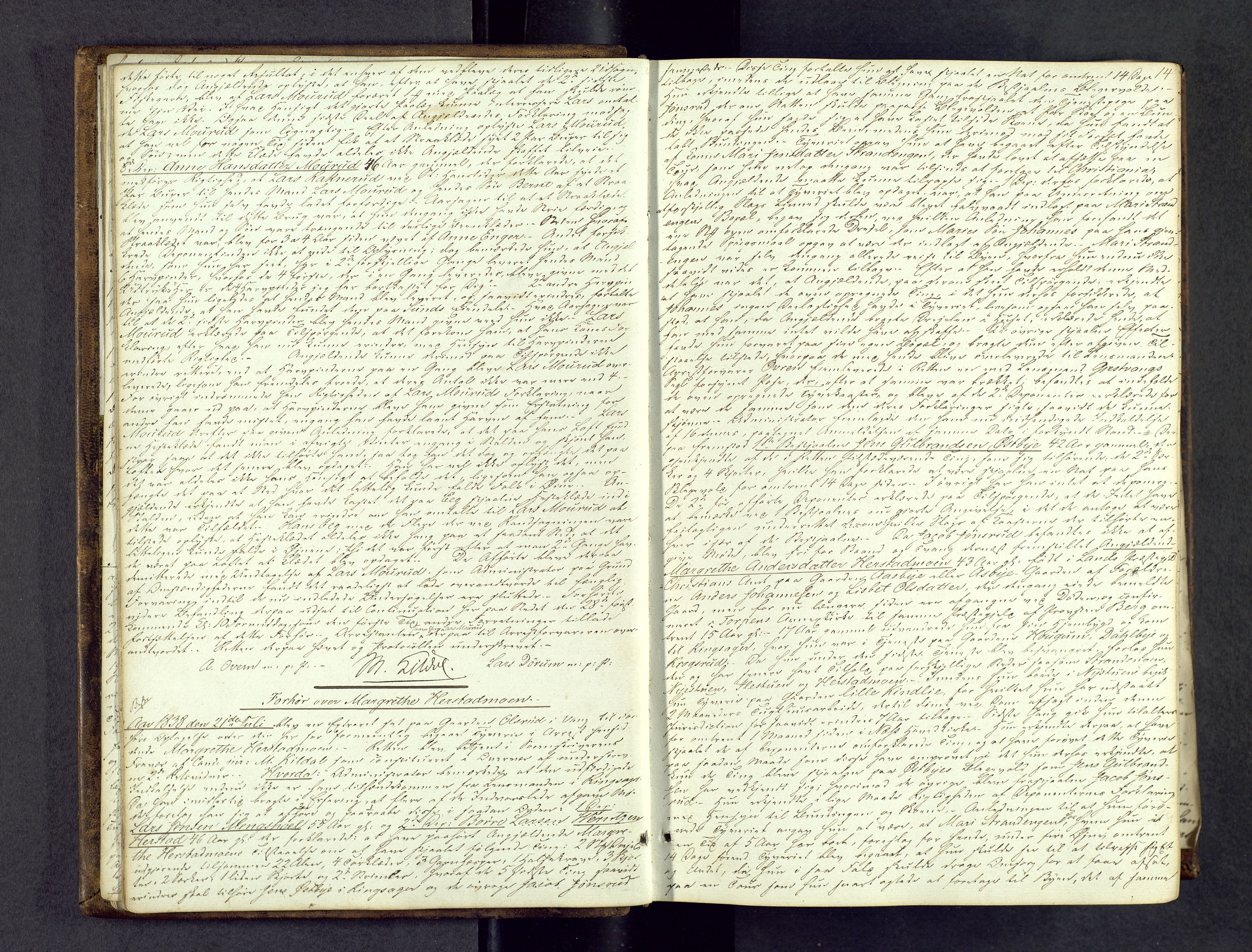 Nord-Hedmark sorenskriveri, AV/SAH-TING-012/G/Gc/L0006: Ekstrarettsprotokoll, 1838-1845, s. 13b-14a