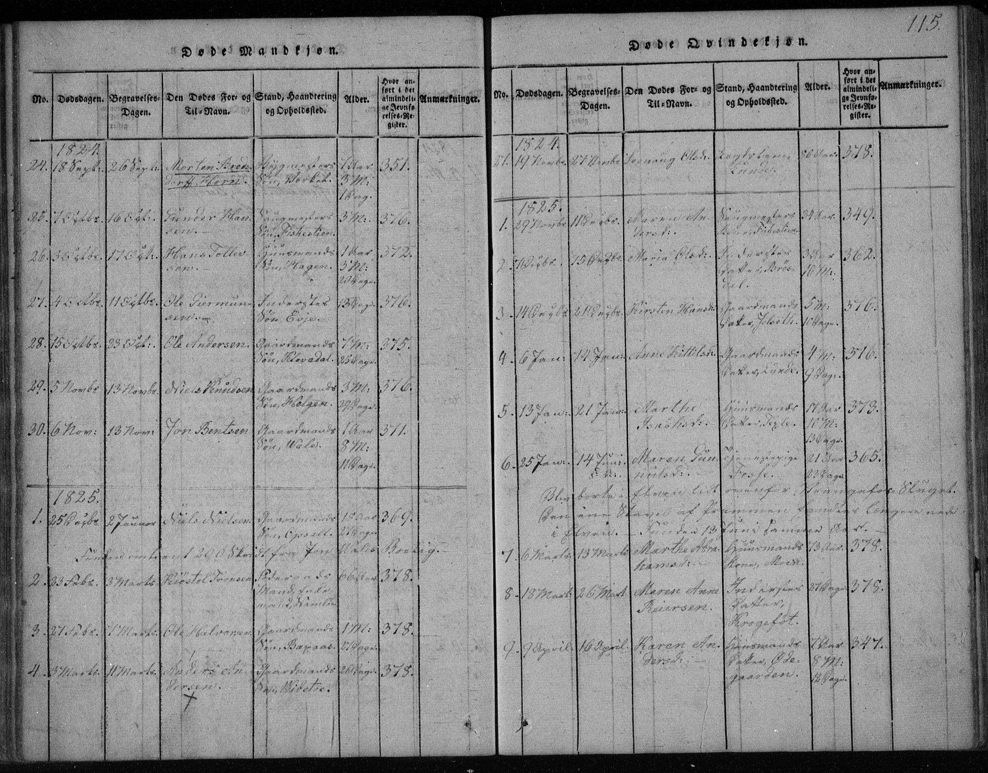 Holla kirkebøker, AV/SAKO-A-272/F/Fa/L0003: Ministerialbok nr. 3, 1815-1830, s. 115