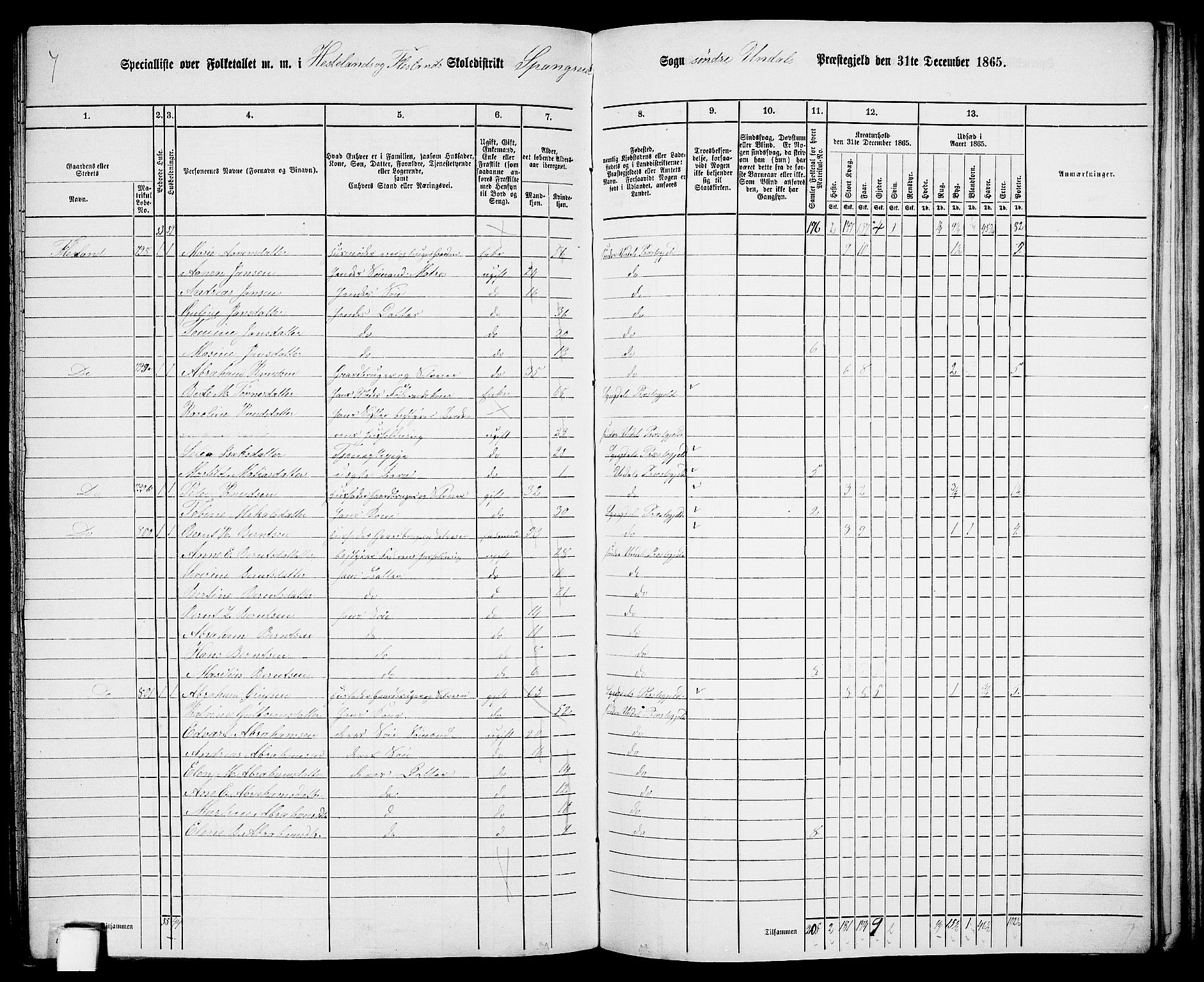 RA, Folketelling 1865 for 1029P Sør-Audnedal prestegjeld, 1865, s. 157