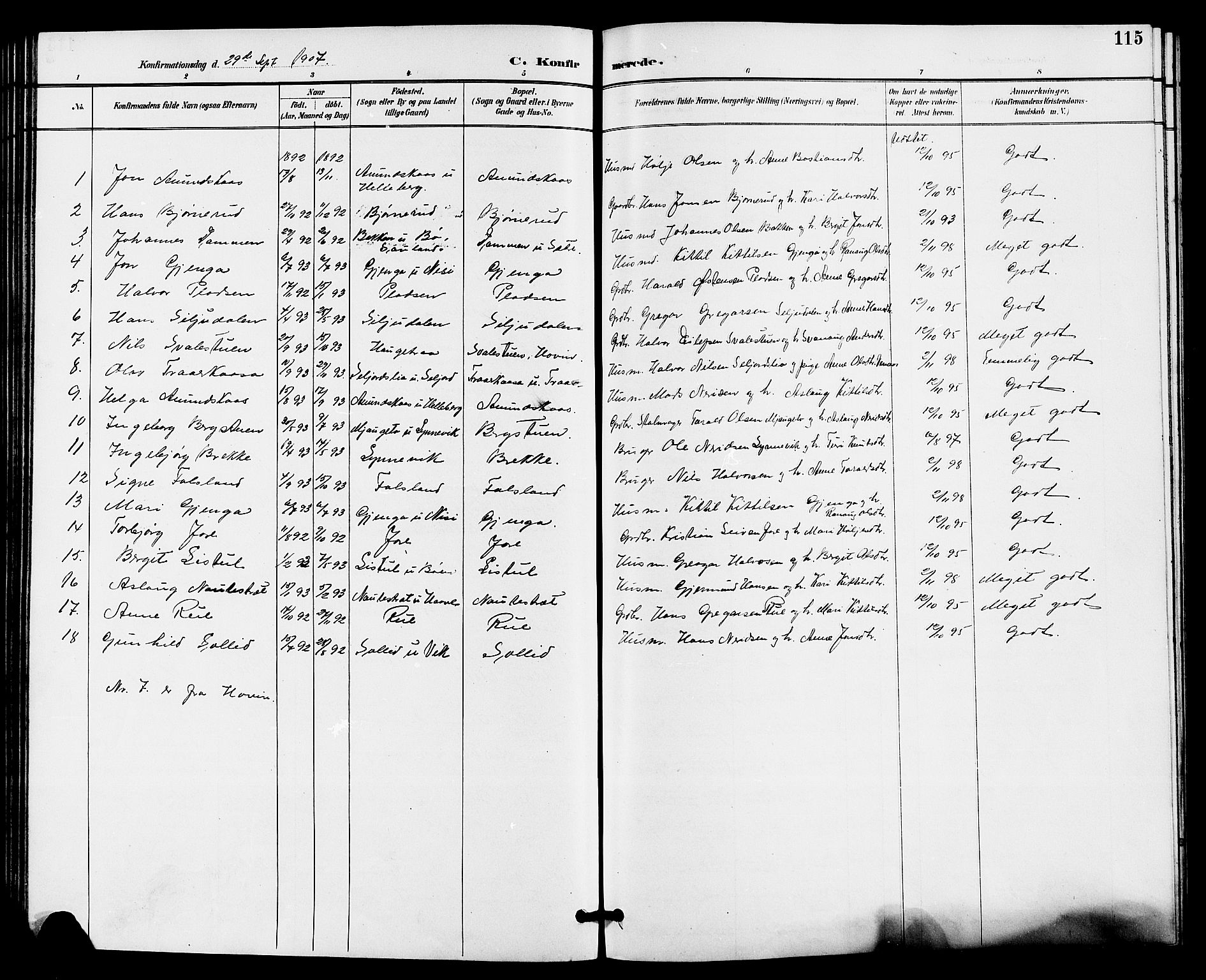 Gransherad kirkebøker, AV/SAKO-A-267/G/Ga/L0003: Klokkerbok nr. I 3, 1887-1915, s. 115