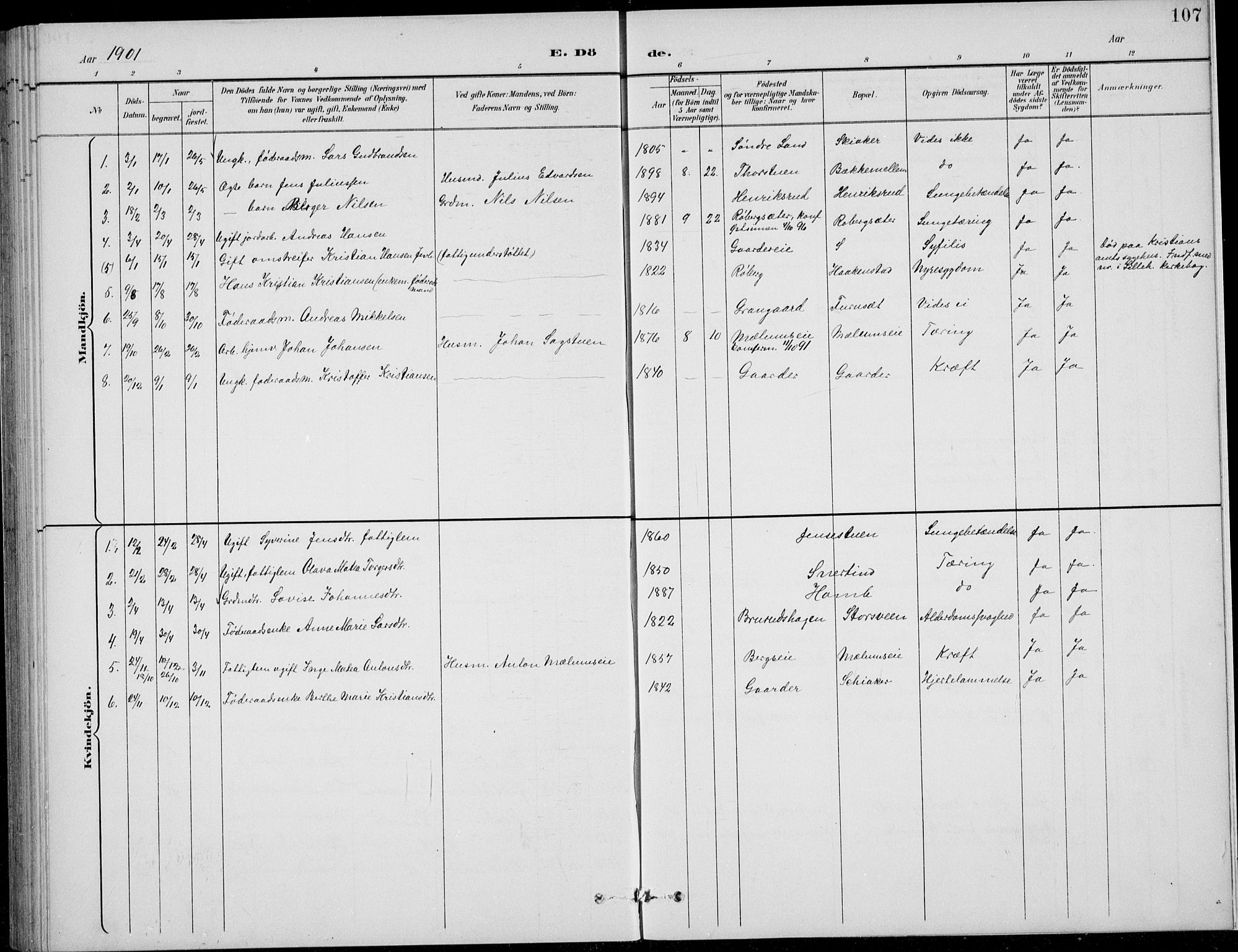 Nordre Land prestekontor, AV/SAH-PREST-124/H/Ha/Hab/L0014: Klokkerbok nr. 14, 1891-1907, s. 107