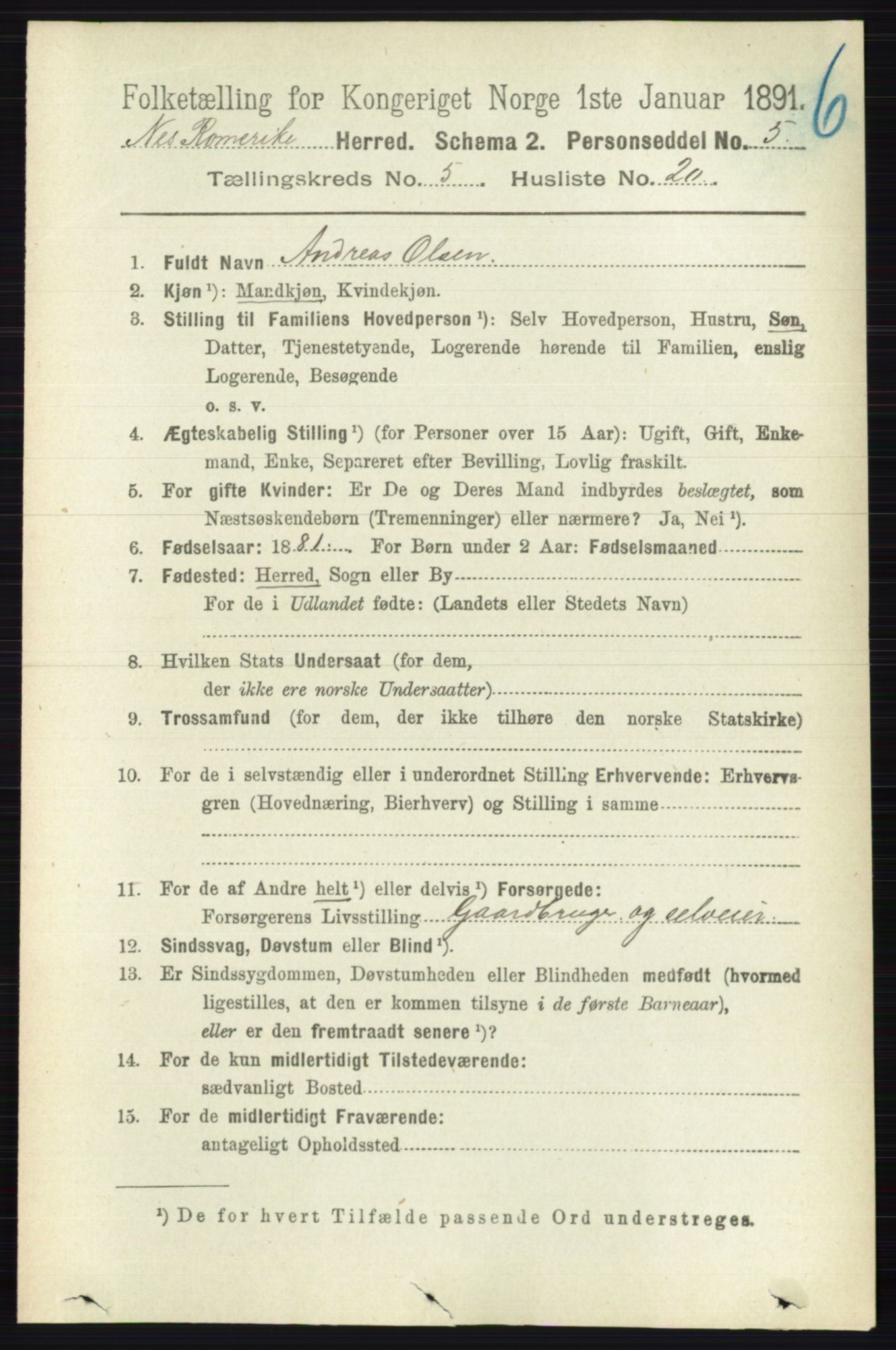 RA, Folketelling 1891 for 0236 Nes herred, 1891, s. 2900