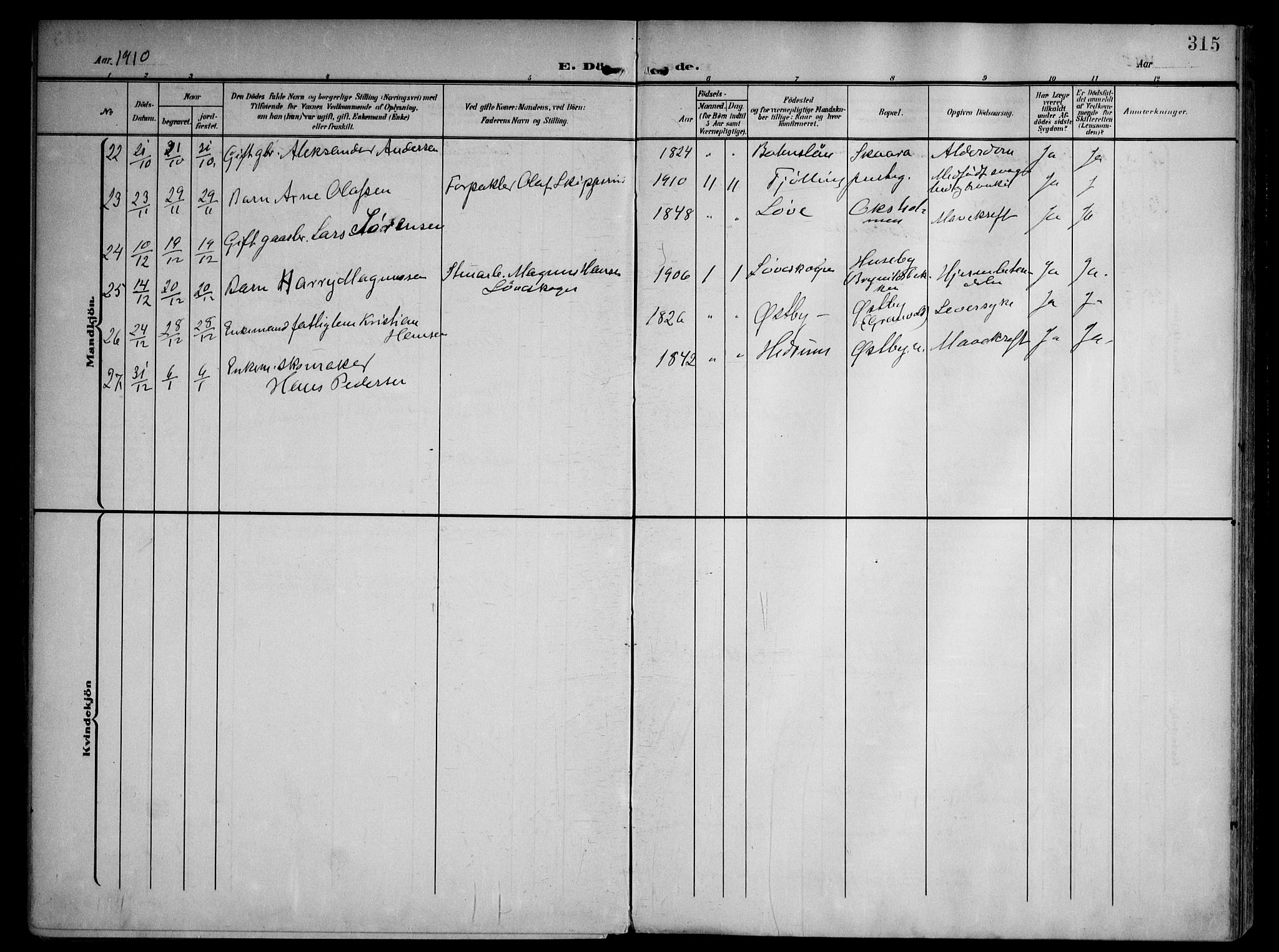 Tjølling kirkebøker, AV/SAKO-A-60/F/Fa/L0010: Ministerialbok nr. 10, 1906-1923, s. 315