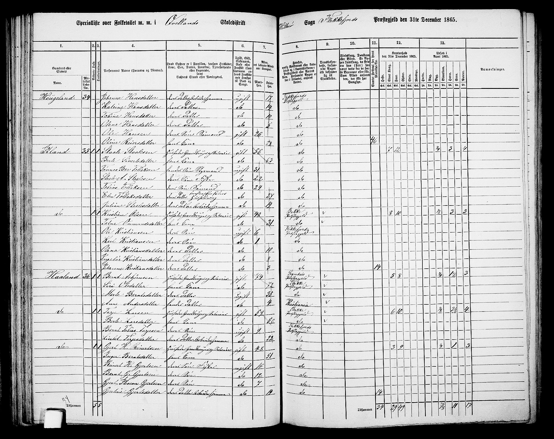 RA, Folketelling 1865 for 1042L Flekkefjord prestegjeld, Nes sokn og Hidra sokn, 1865, s. 63