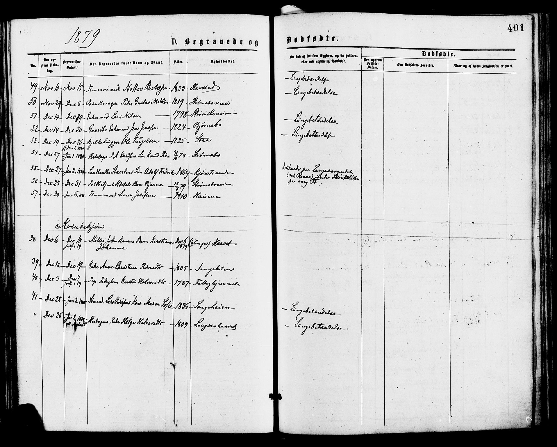 Barbu sokneprestkontor, SAK/1111-0003/F/Fa/L0001: Ministerialbok nr. A 1 /1, 1878-1883, s. 401