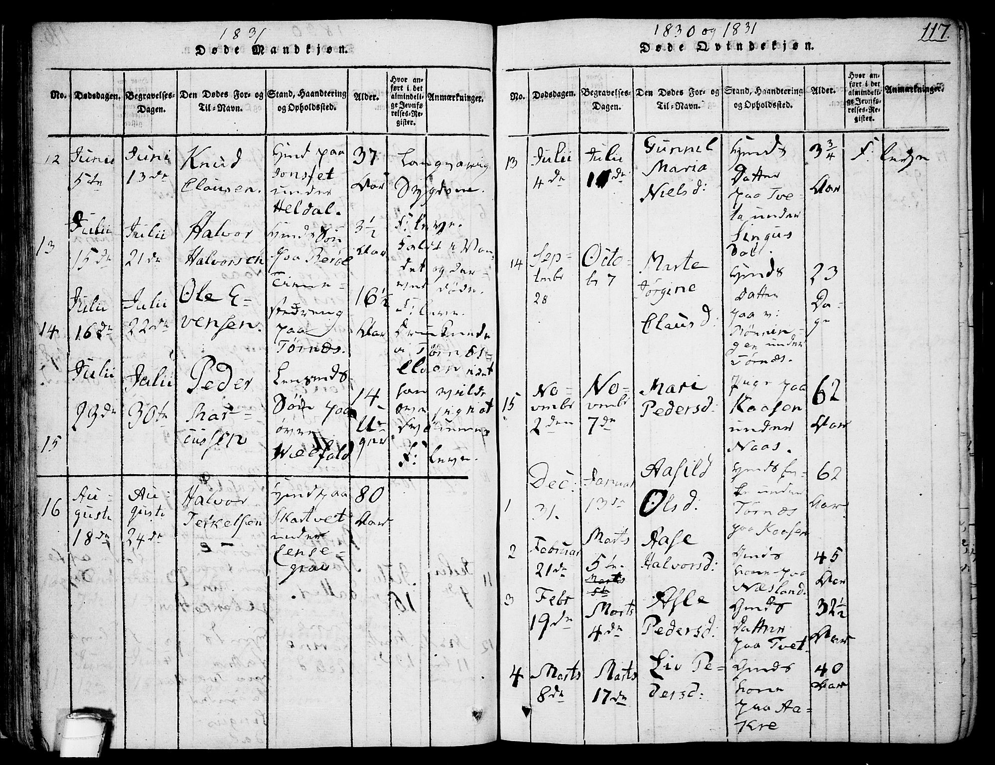 Drangedal kirkebøker, AV/SAKO-A-258/F/Fa/L0005: Ministerialbok nr. 5 /1, 1814-1831, s. 117