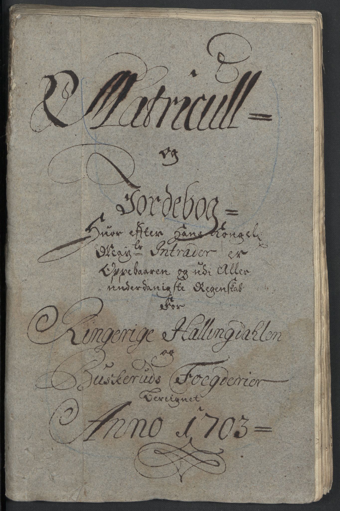 Rentekammeret inntil 1814, Reviderte regnskaper, Fogderegnskap, RA/EA-4092/R22/L1461: Fogderegnskap Ringerike, Hallingdal og Buskerud, 1703, s. 30