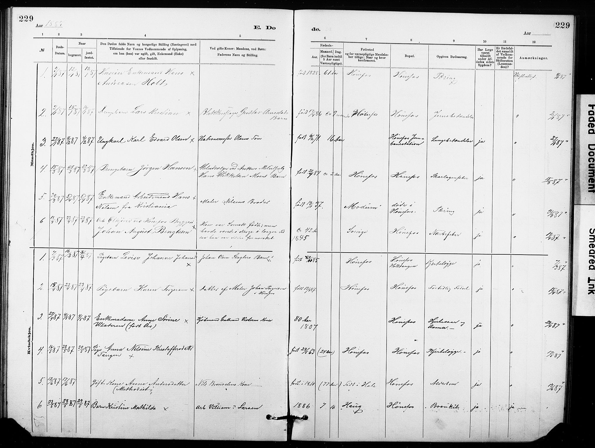 Hønefoss kirkebøker, AV/SAKO-A-609/G/Ga/L0001: Klokkerbok nr. 1, 1870-1887, s. 229