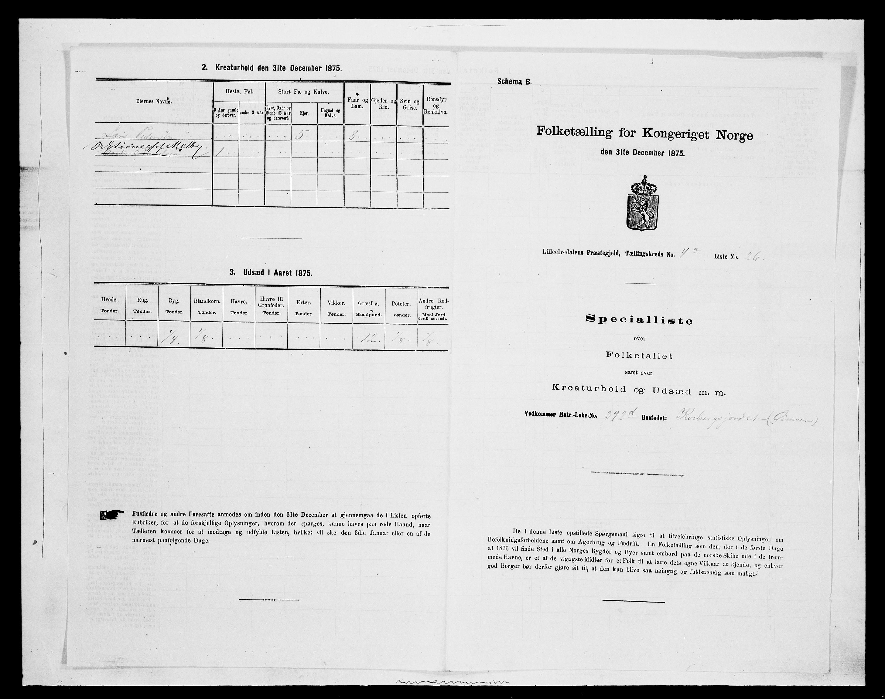 SAH, Folketelling 1875 for 0438P Lille Elvedalen (Alvdal) prestegjeld, 1875, s. 411