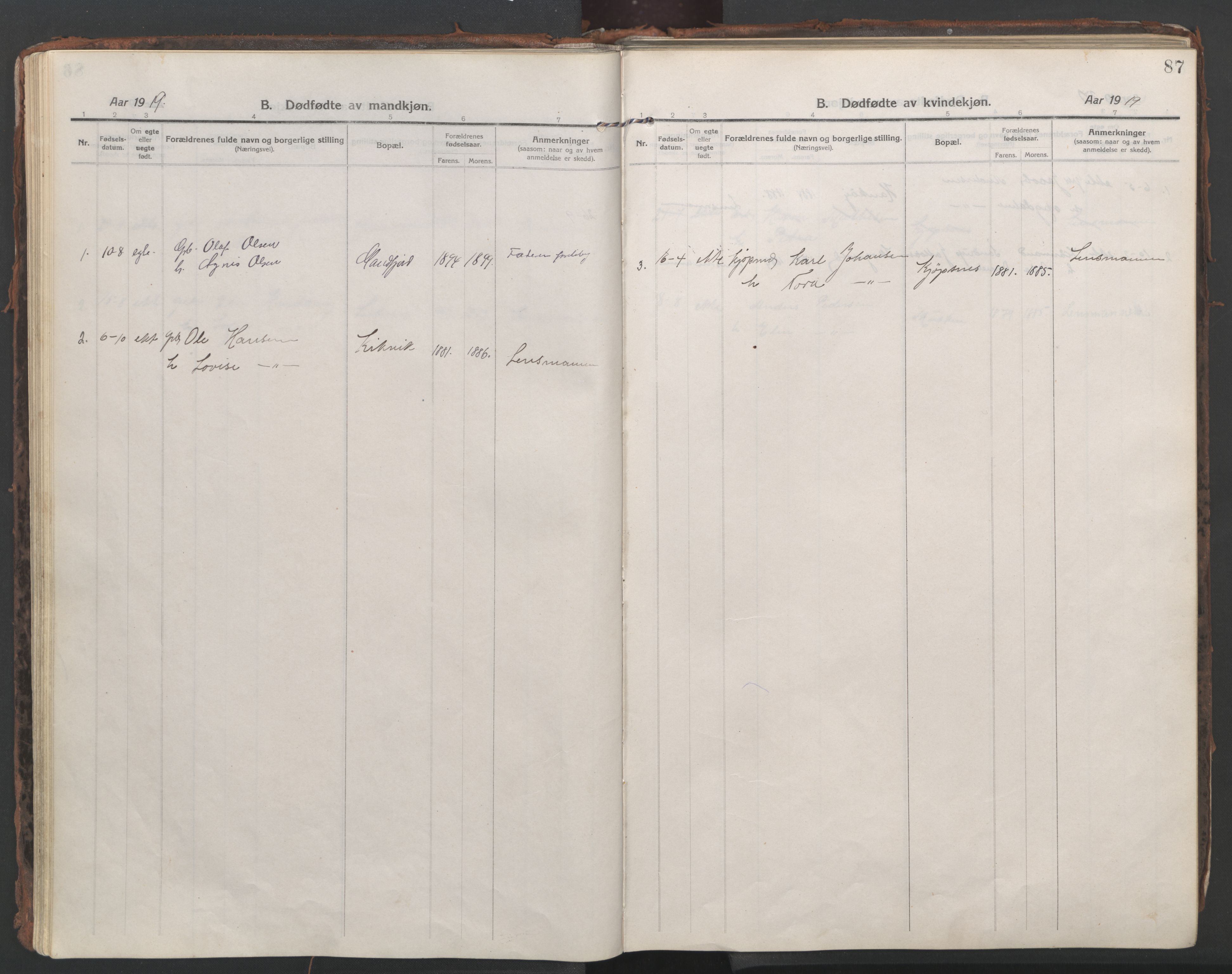 Ministerialprotokoller, klokkerbøker og fødselsregistre - Nordland, SAT/A-1459/861/L0872: Ministerialbok nr. 861A07, 1915-1924, s. 87