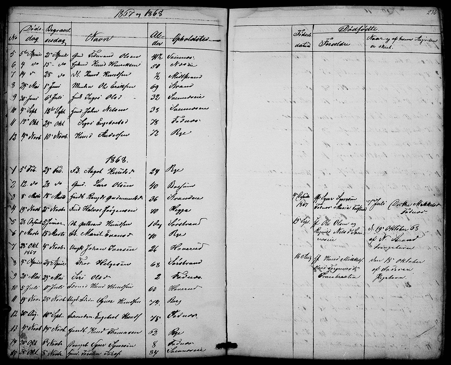 Nord-Aurdal prestekontor, AV/SAH-PREST-132/H/Ha/Hab/L0003: Klokkerbok nr. 3, 1842-1882, s. 236
