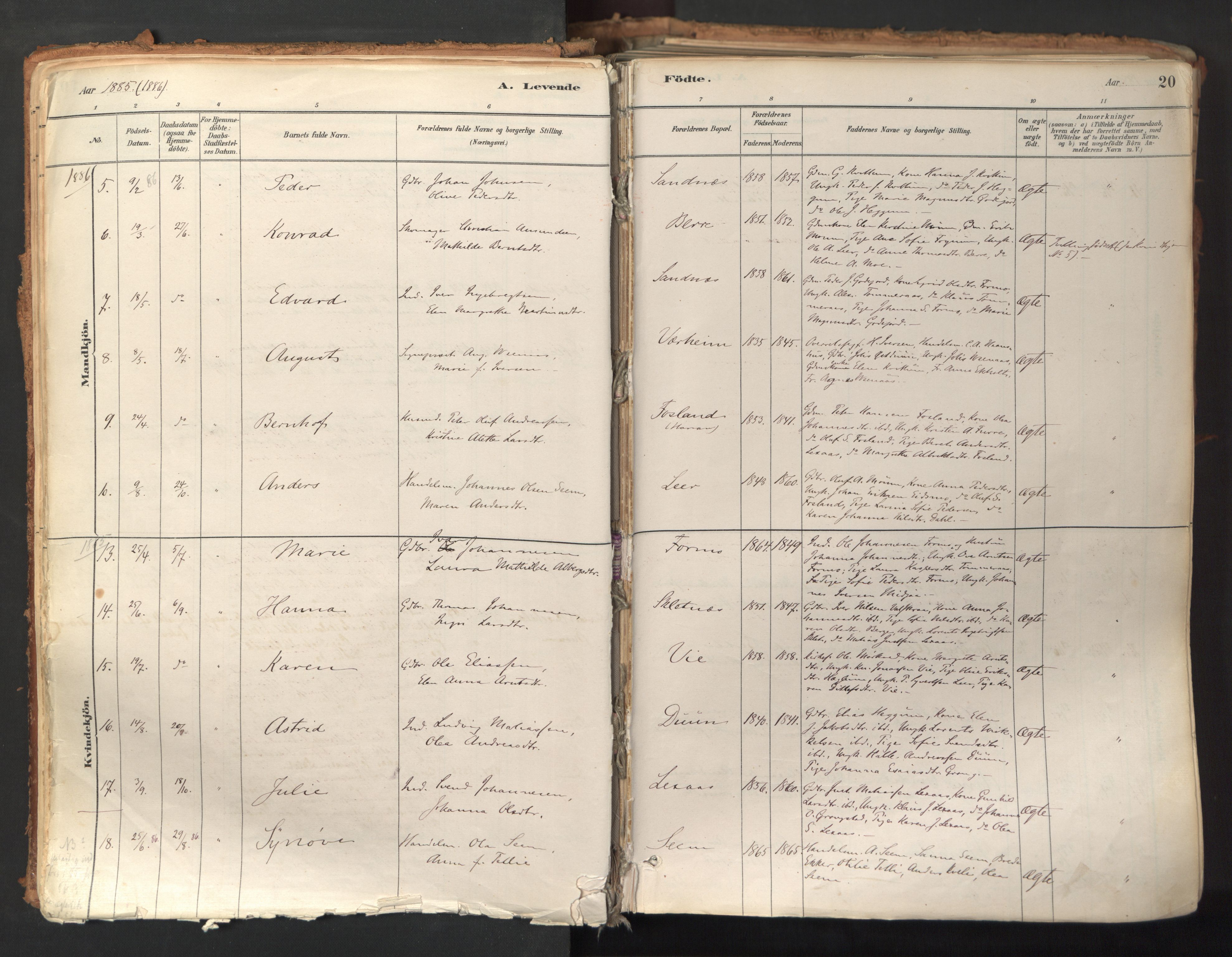 Ministerialprotokoller, klokkerbøker og fødselsregistre - Nord-Trøndelag, AV/SAT-A-1458/758/L0519: Ministerialbok nr. 758A04, 1880-1926, s. 20