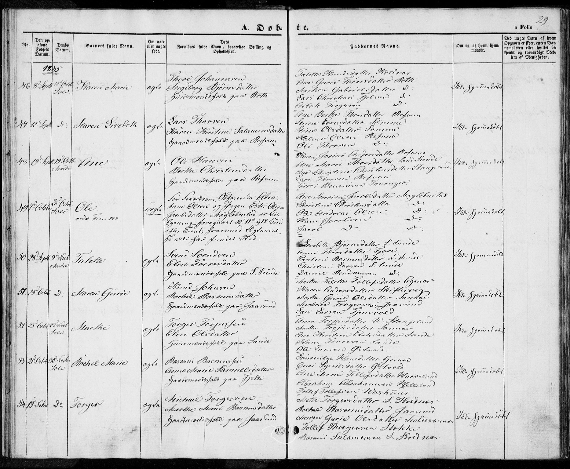 Håland sokneprestkontor, AV/SAST-A-101802/001/30BA/L0006: Ministerialbok nr. A 6, 1842-1853, s. 29