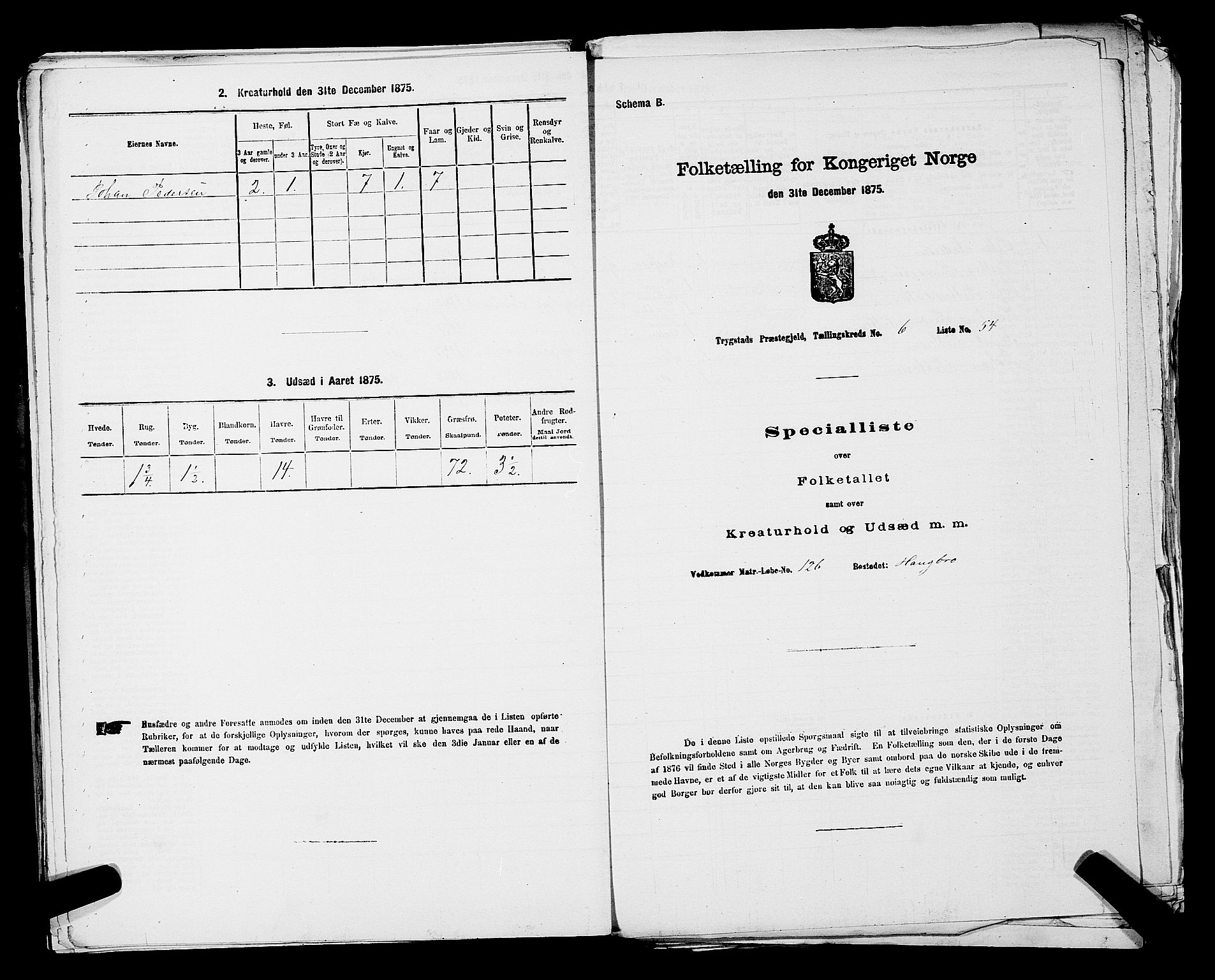 RA, Folketelling 1875 for 0122P Trøgstad prestegjeld, 1875, s. 735