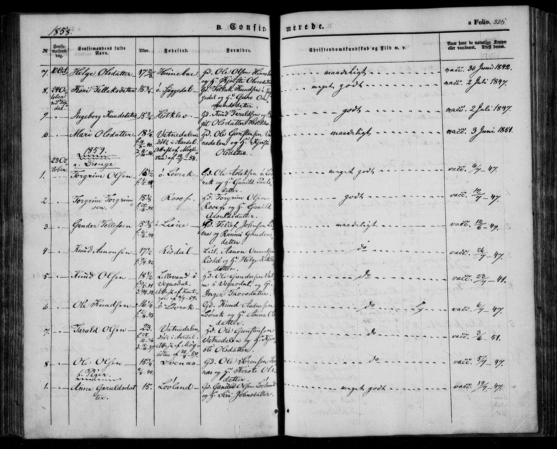 Åmli sokneprestkontor, AV/SAK-1111-0050/F/Fa/Fac/L0008: Ministerialbok nr. A 8, 1852-1869, s. 225