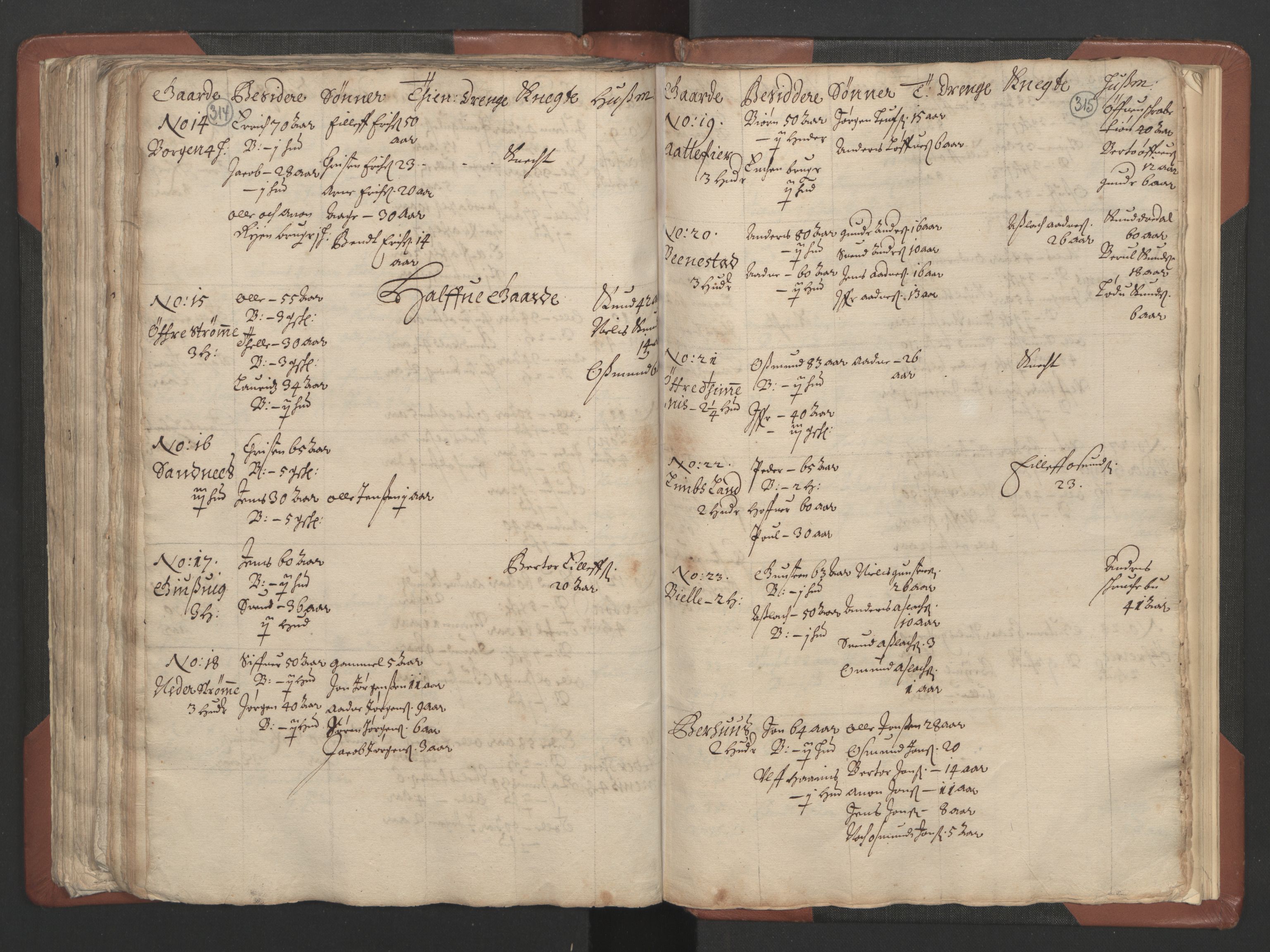 RA, Fogdenes og sorenskrivernes manntall 1664-1666, nr. 9: Mandal len, 1664-1666, s. 314-315