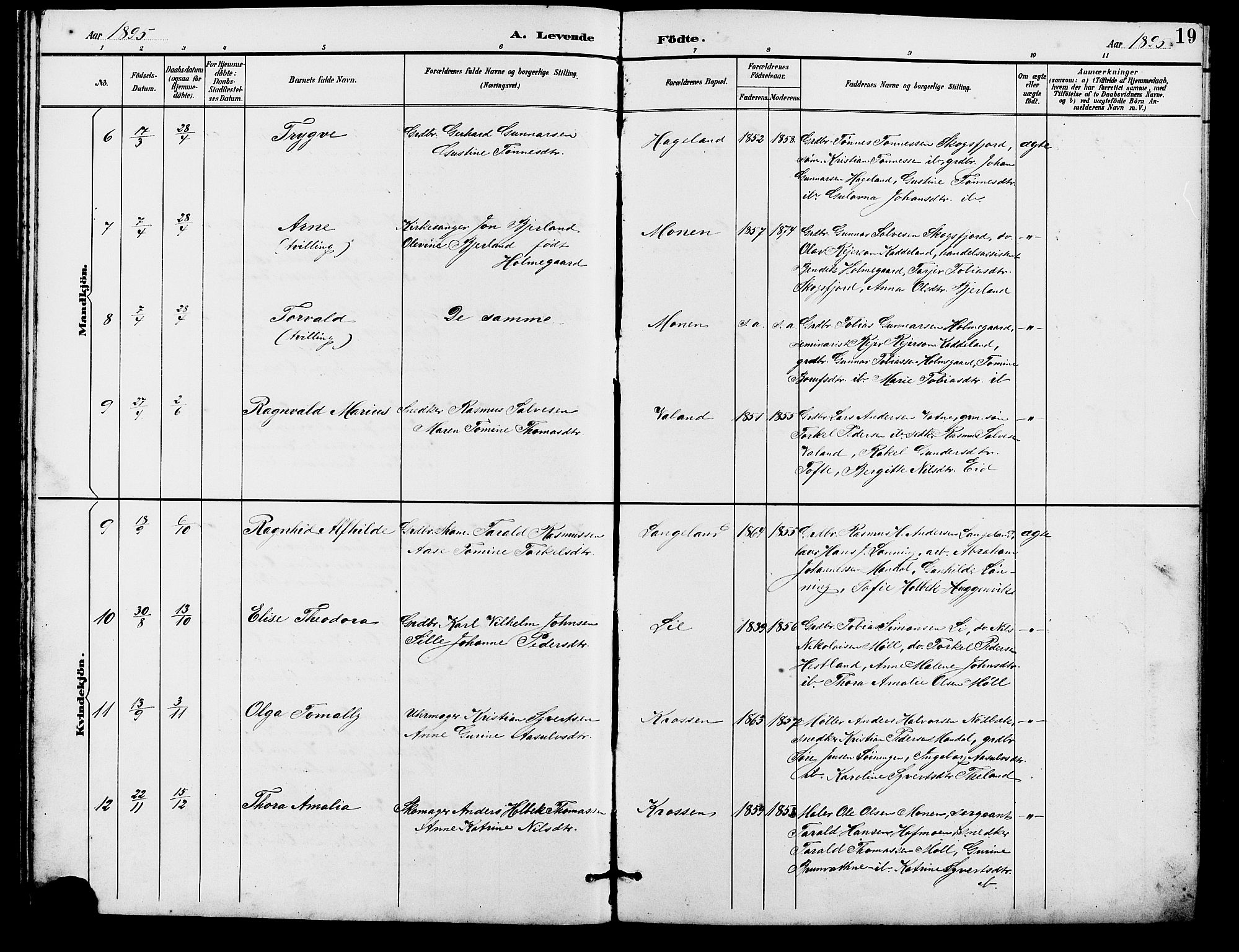 Holum sokneprestkontor, AV/SAK-1111-0022/F/Fb/Fba/L0005: Klokkerbok nr. B 5, 1891-1909, s. 19