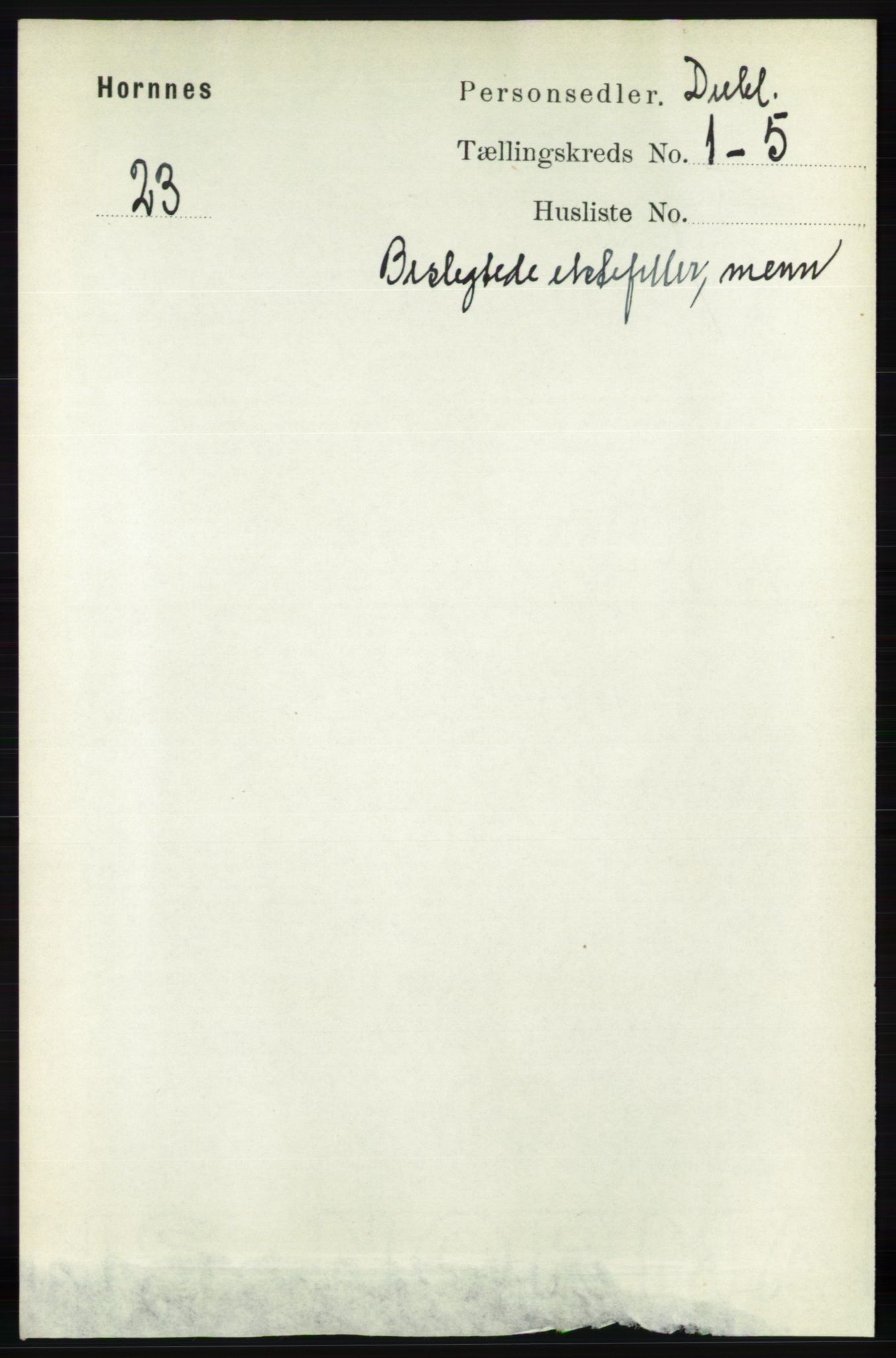 RA, Folketelling 1891 for Nedenes amt: Gjenparter av personsedler for beslektede ektefeller, menn, 1891, s. 959