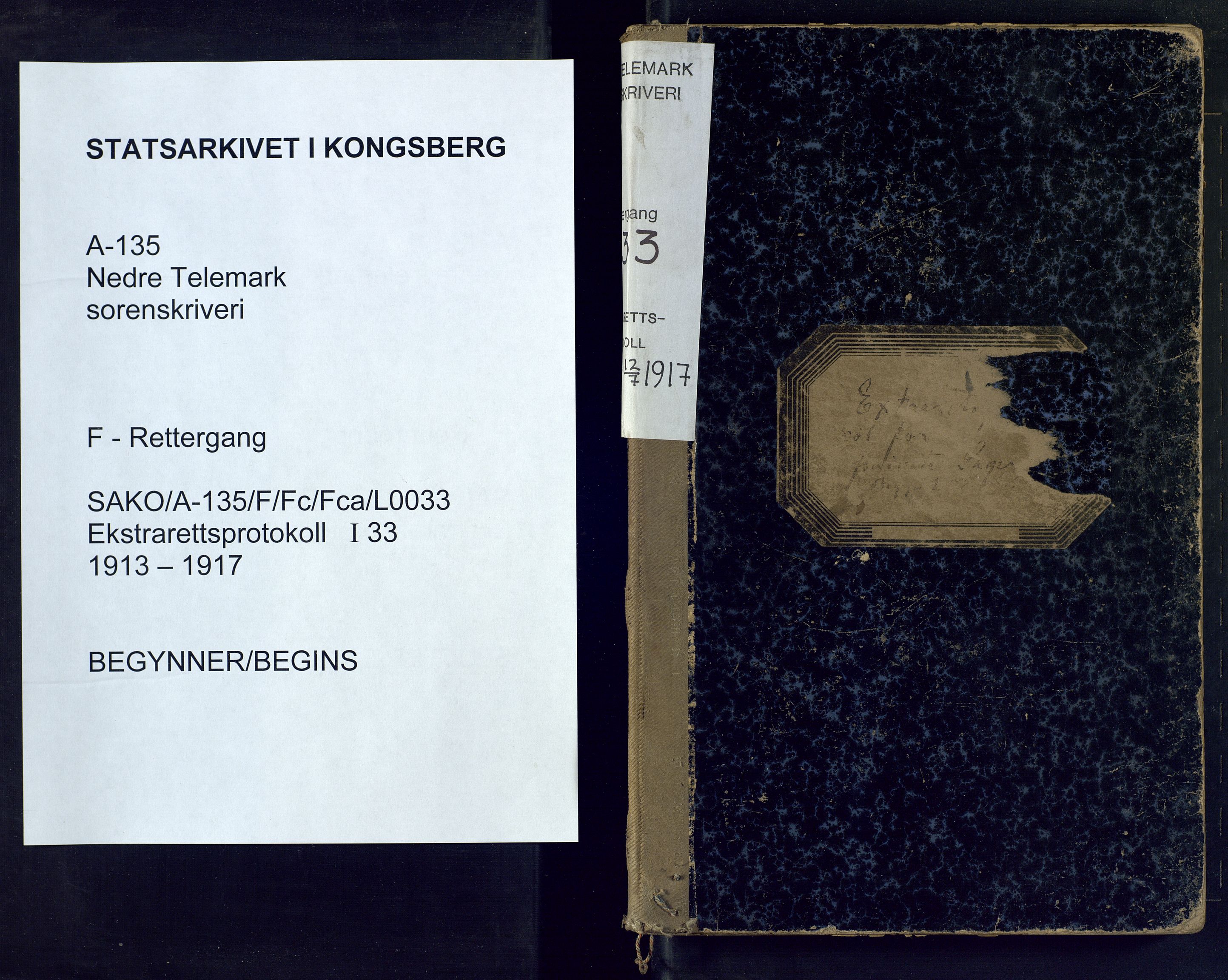 Nedre Telemark sorenskriveri, SAKO/A-135/F/Fc/Fca/L0033: Ekstrarettsprotokoll, 1913-1917