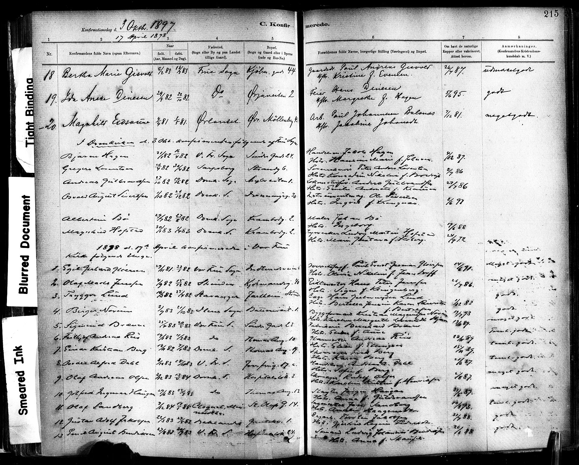 Ministerialprotokoller, klokkerbøker og fødselsregistre - Sør-Trøndelag, SAT/A-1456/602/L0119: Ministerialbok nr. 602A17, 1880-1901, s. 215