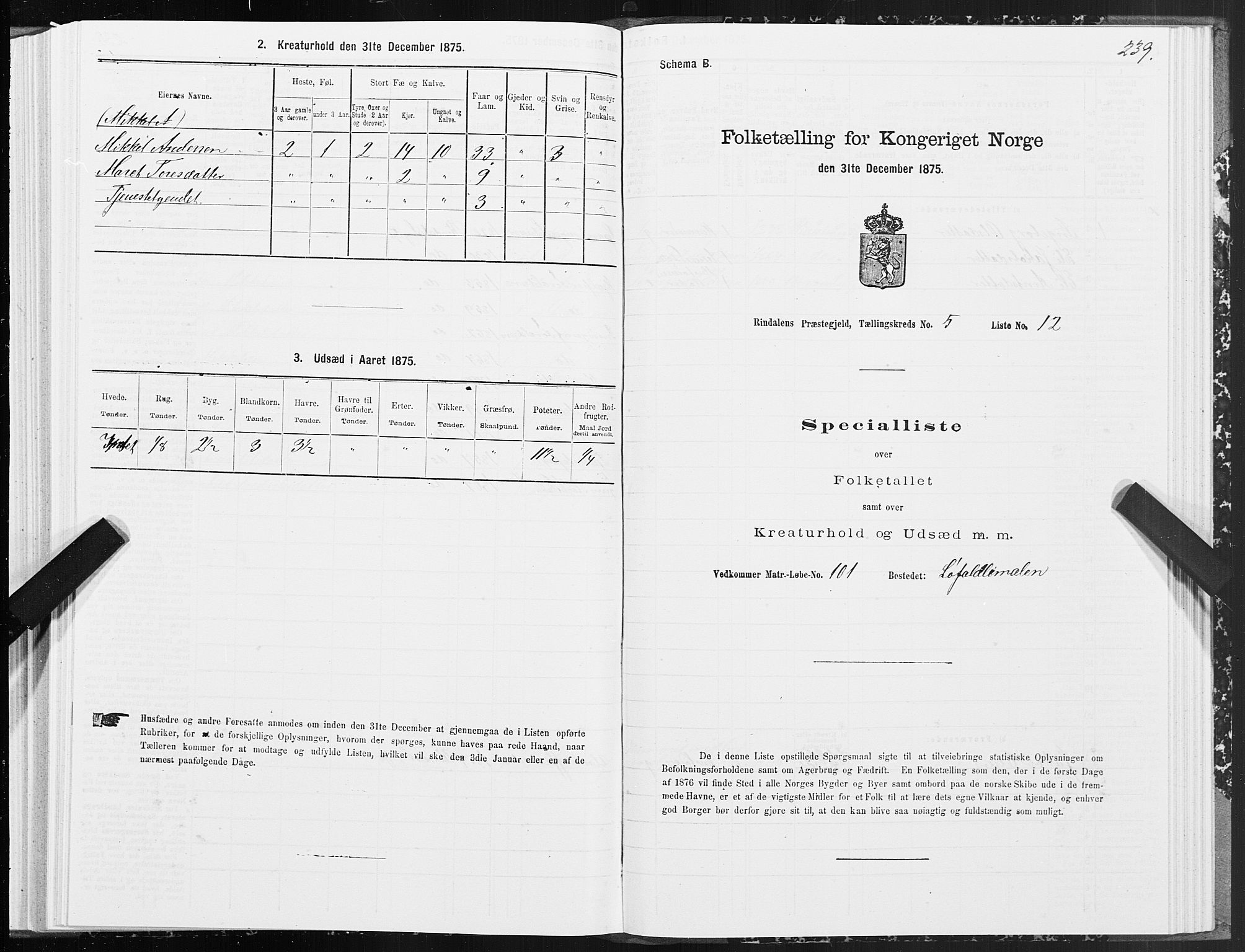SAT, Folketelling 1875 for 1567P Rindal prestegjeld, 1875, s. 2239