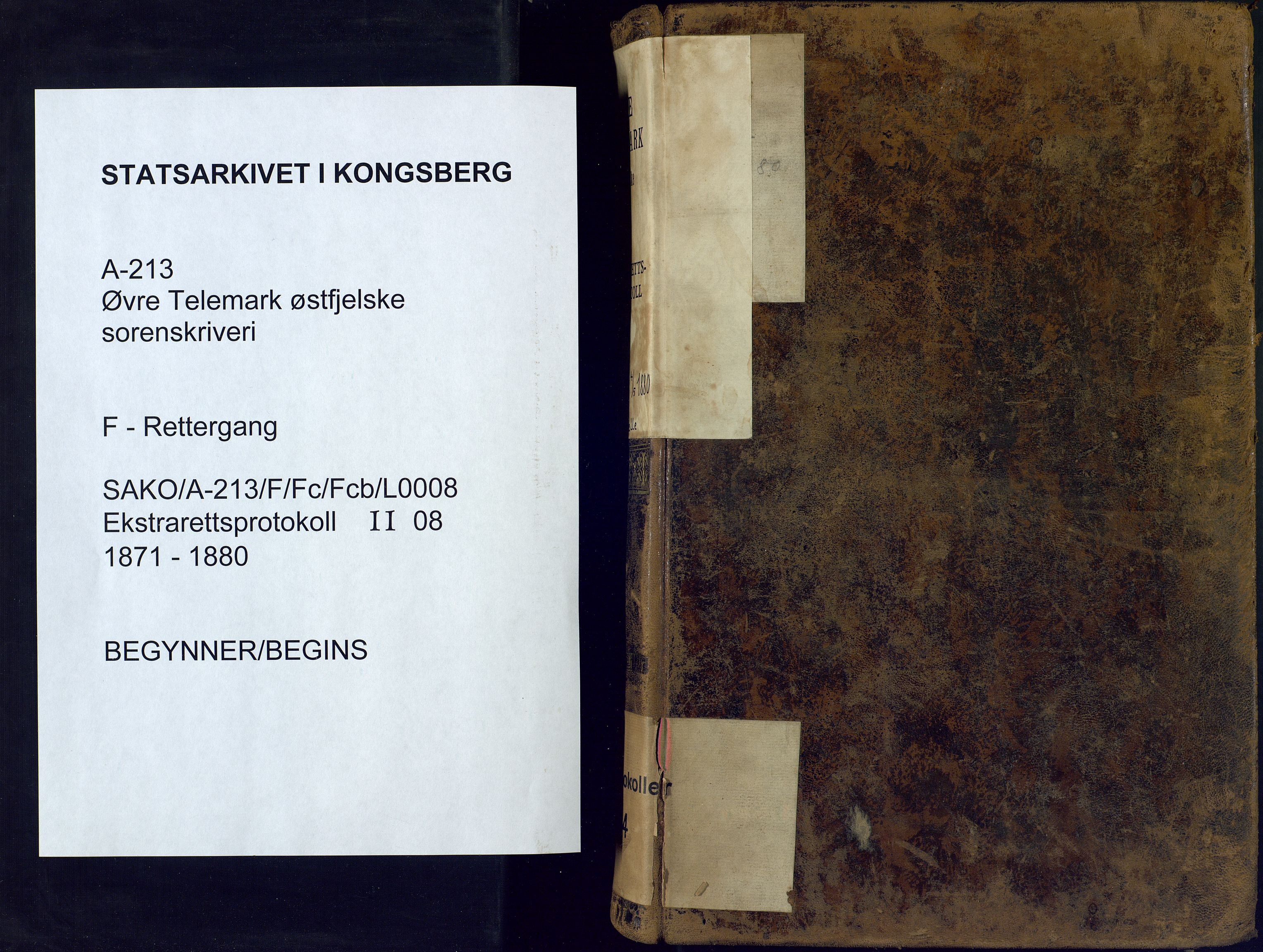 Øvre Telemark østfjelske sorenskriveri, SAKO/A-213/F/Fc/Fcb/L0008: Ekstrarettsprotokoll, straffesaker, 1871-1880