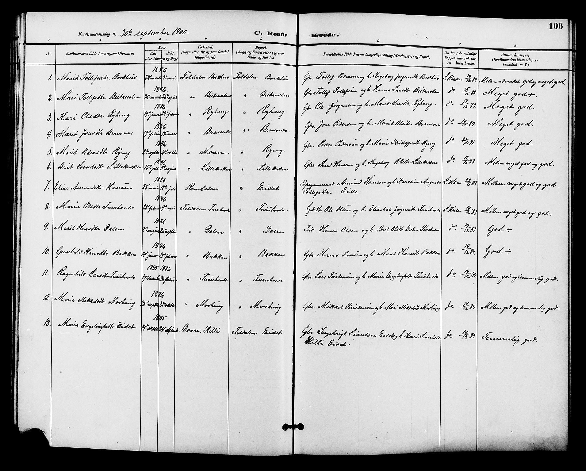 Alvdal prestekontor, AV/SAH-PREST-060/H/Ha/Hab/L0004: Klokkerbok nr. 4, 1894-1910, s. 106