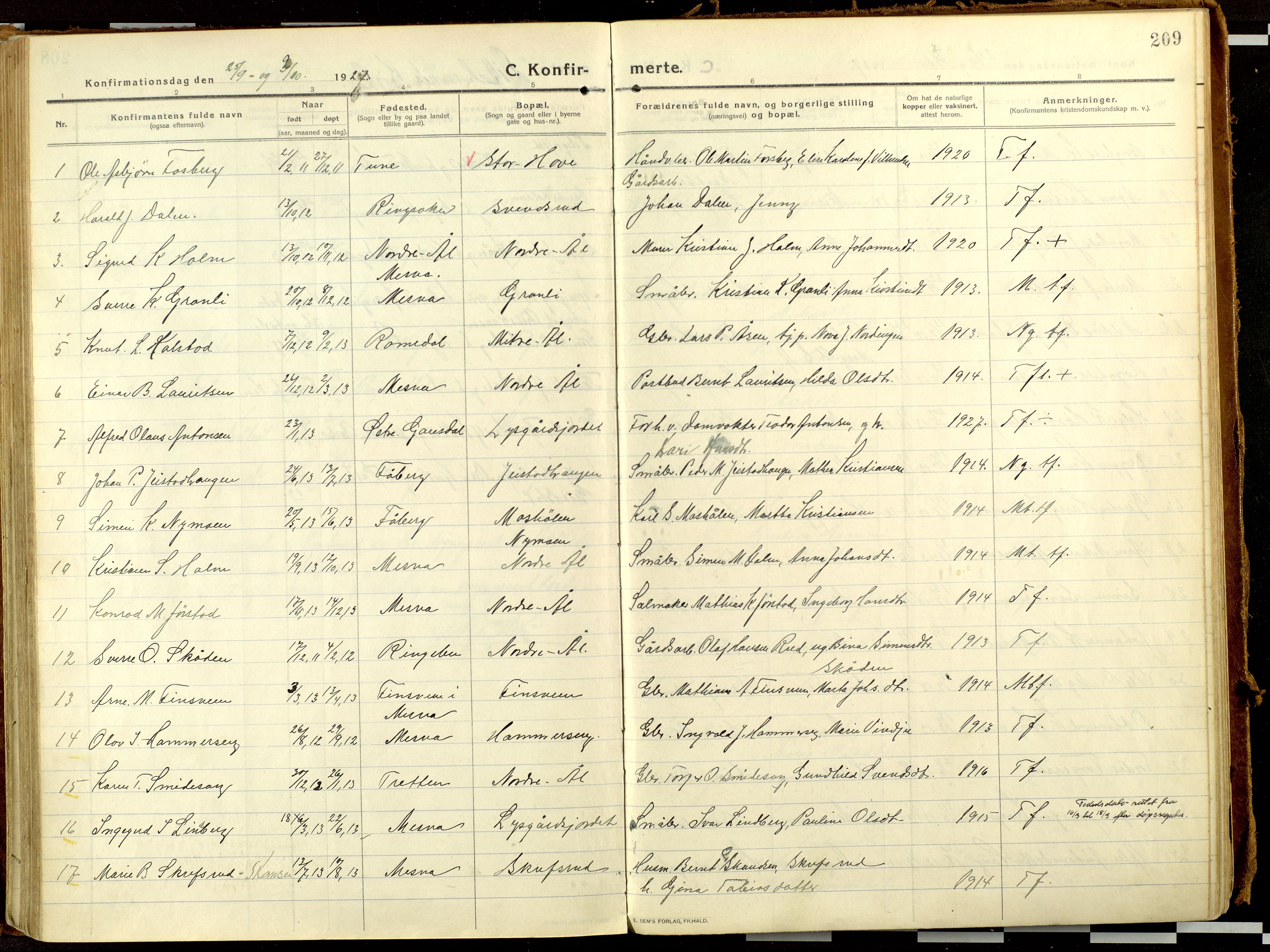 Fåberg prestekontor, AV/SAH-PREST-086/H/Ha/Haa/L0013: Ministerialbok nr. 13, 1913-1928, s. 209