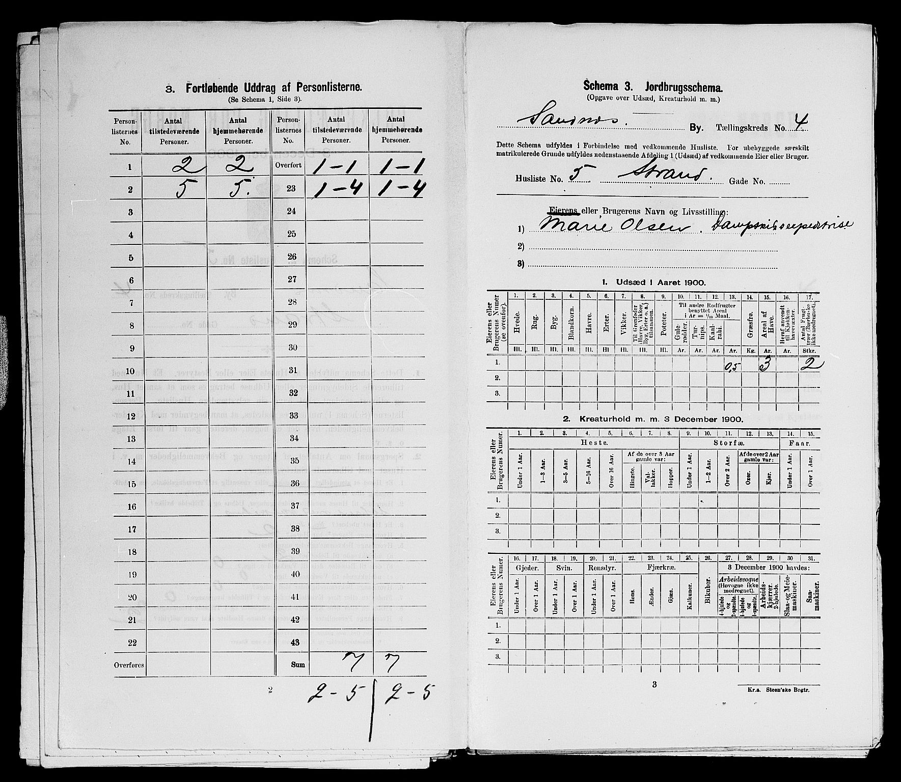 SAST, Folketelling 1900 for 1102 Sandnes ladested, 1900, s. 513