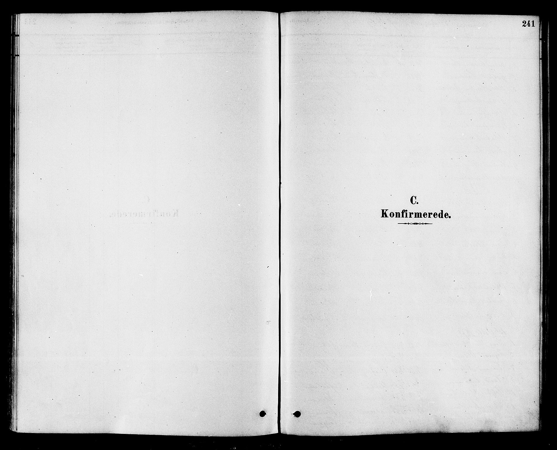 Modum kirkebøker, SAKO/A-234/F/Fa/L0015: Ministerialbok nr. 15 /2, 1877-1889, s. 241